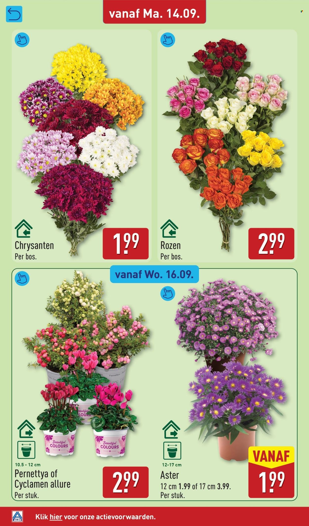 ALDI folder - Van maandag 14 september 2026