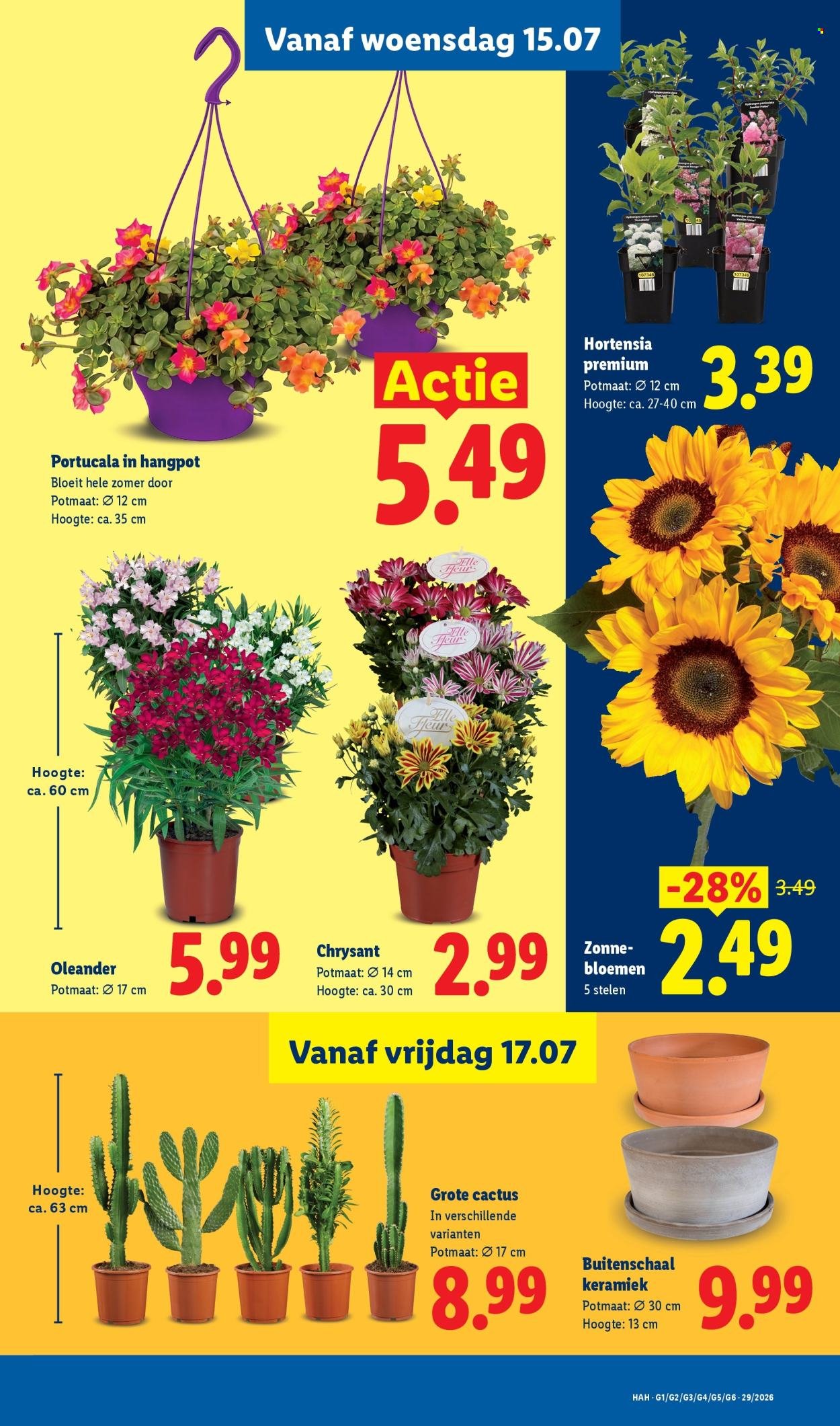 LIDL folder - Week 29