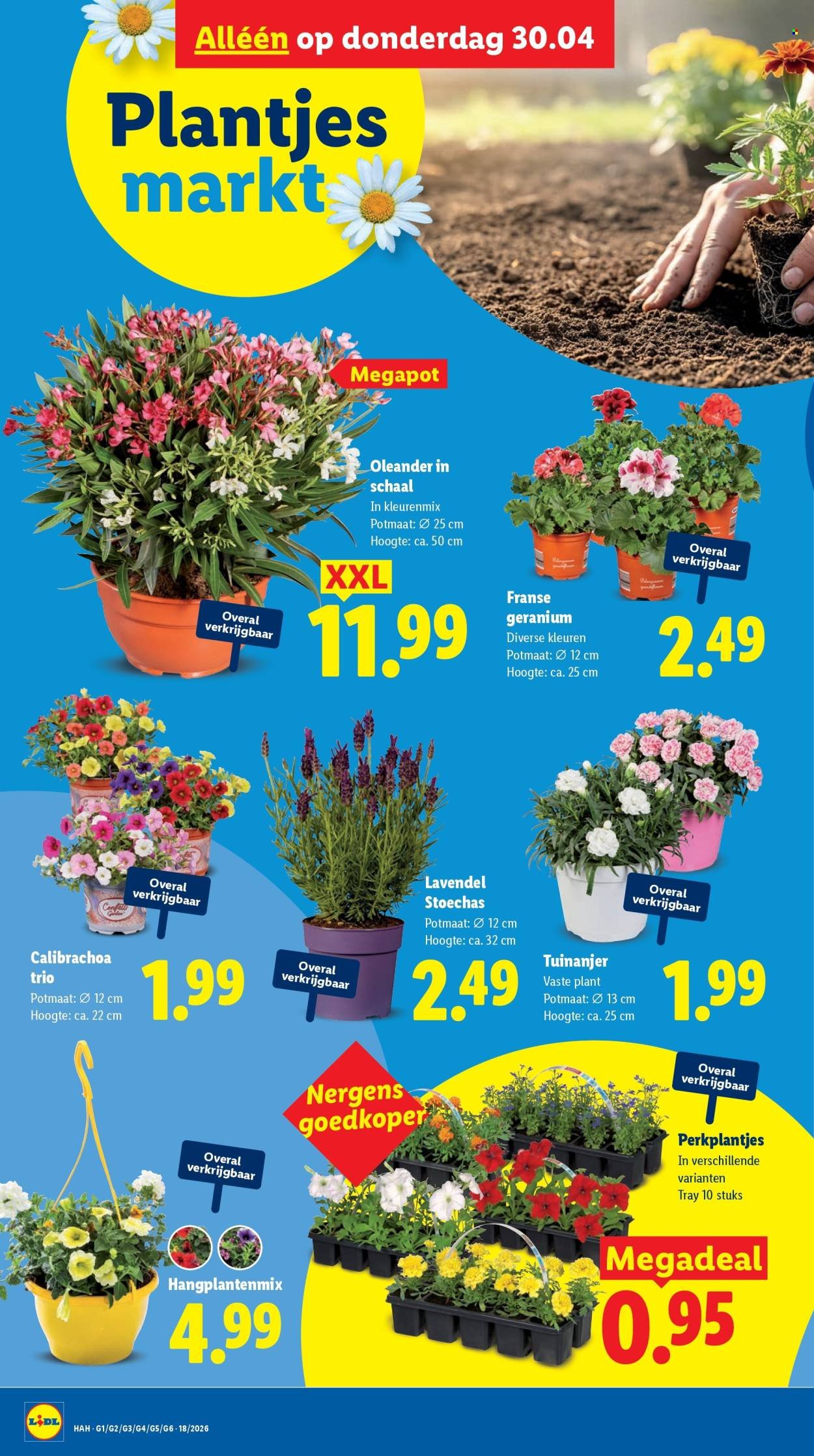 LIDL folder - Week 18