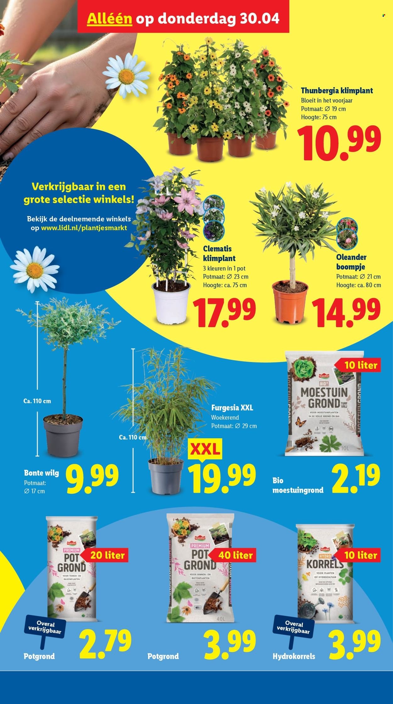 LIDL folder - Week 18