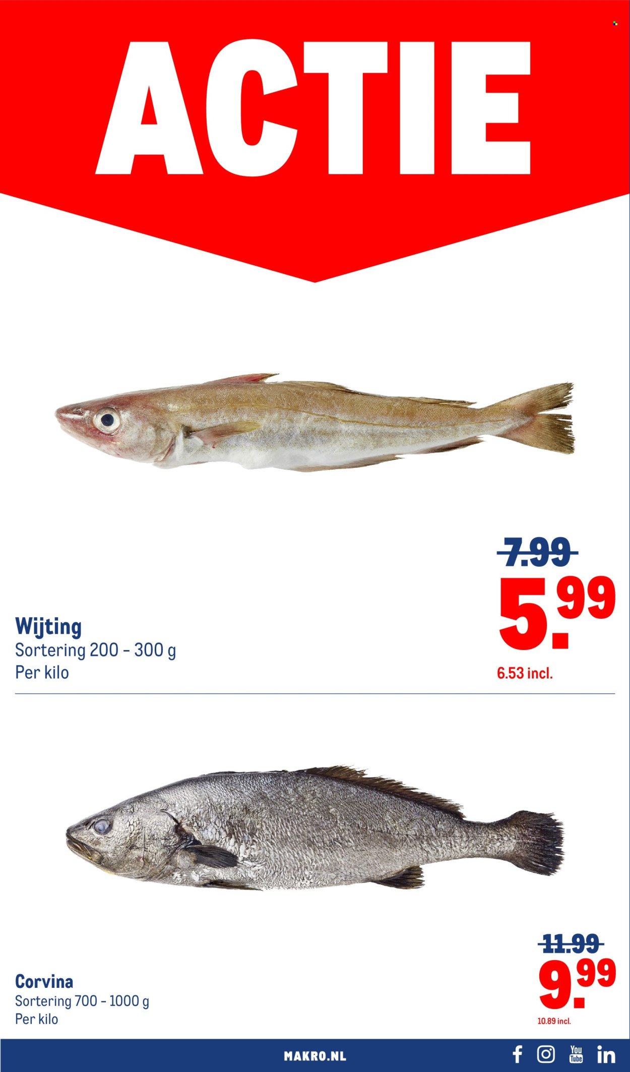 MAKRO folder - Food