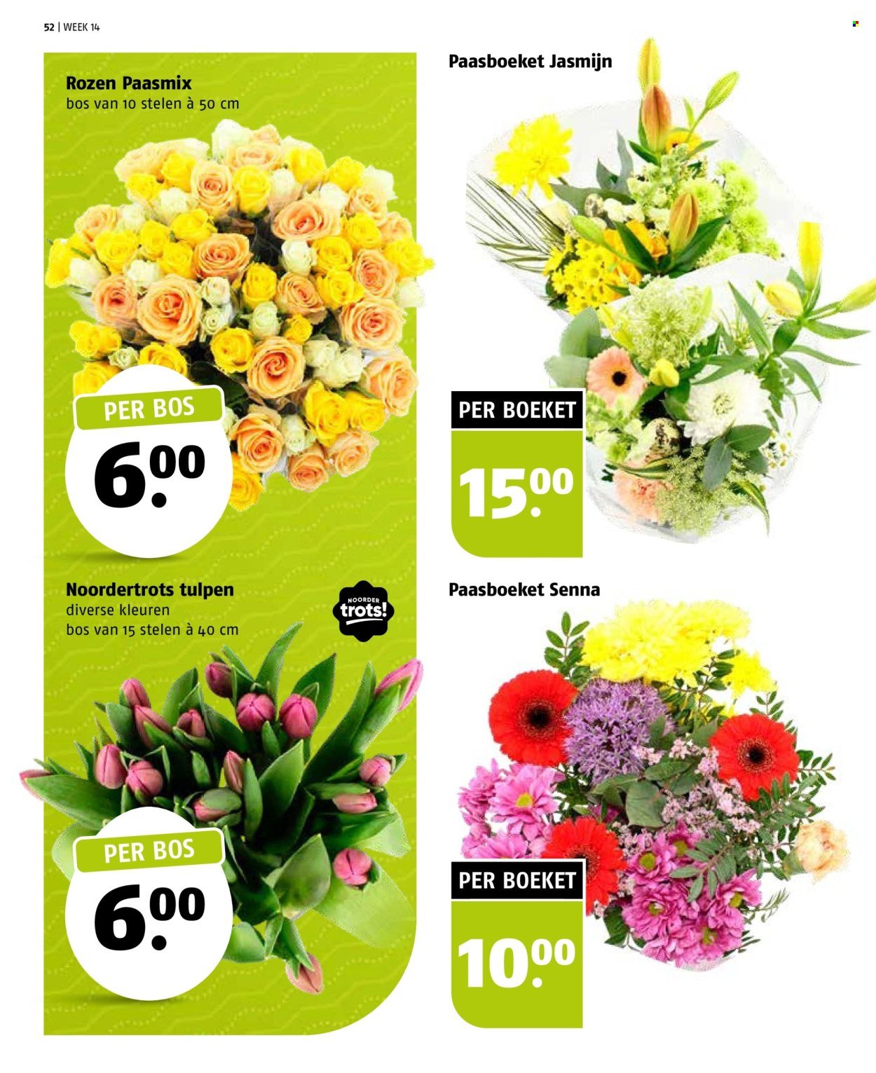 POIESZ folder - Week 4