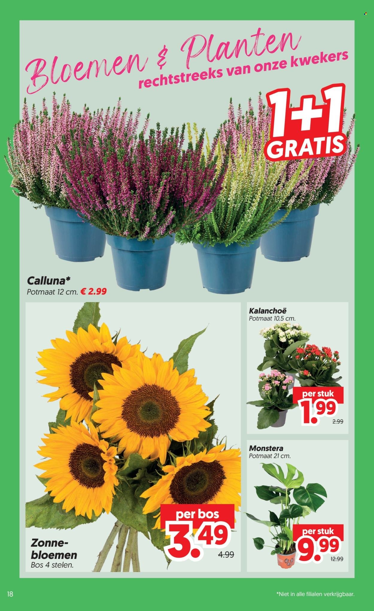 DEKAMARKT folder - Van dinsdag 1 september 2026