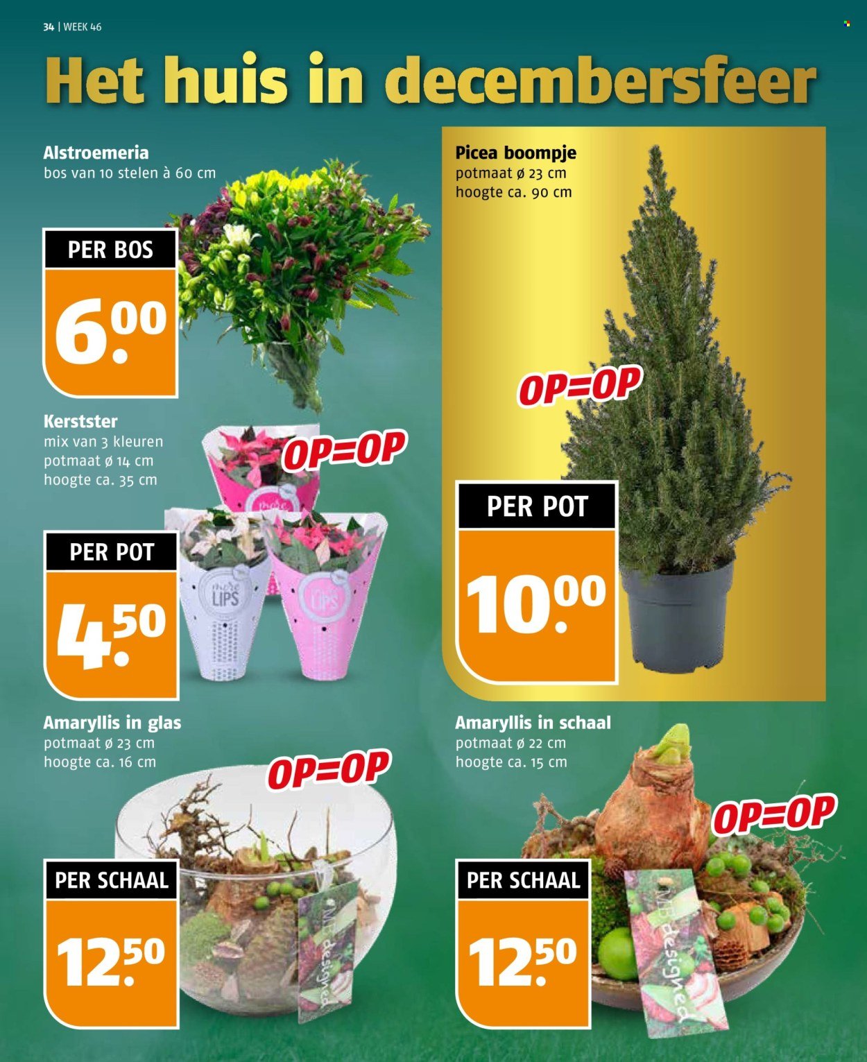 POIESZ folder - Week 46 (2025-11-09 - 2025-11-15)