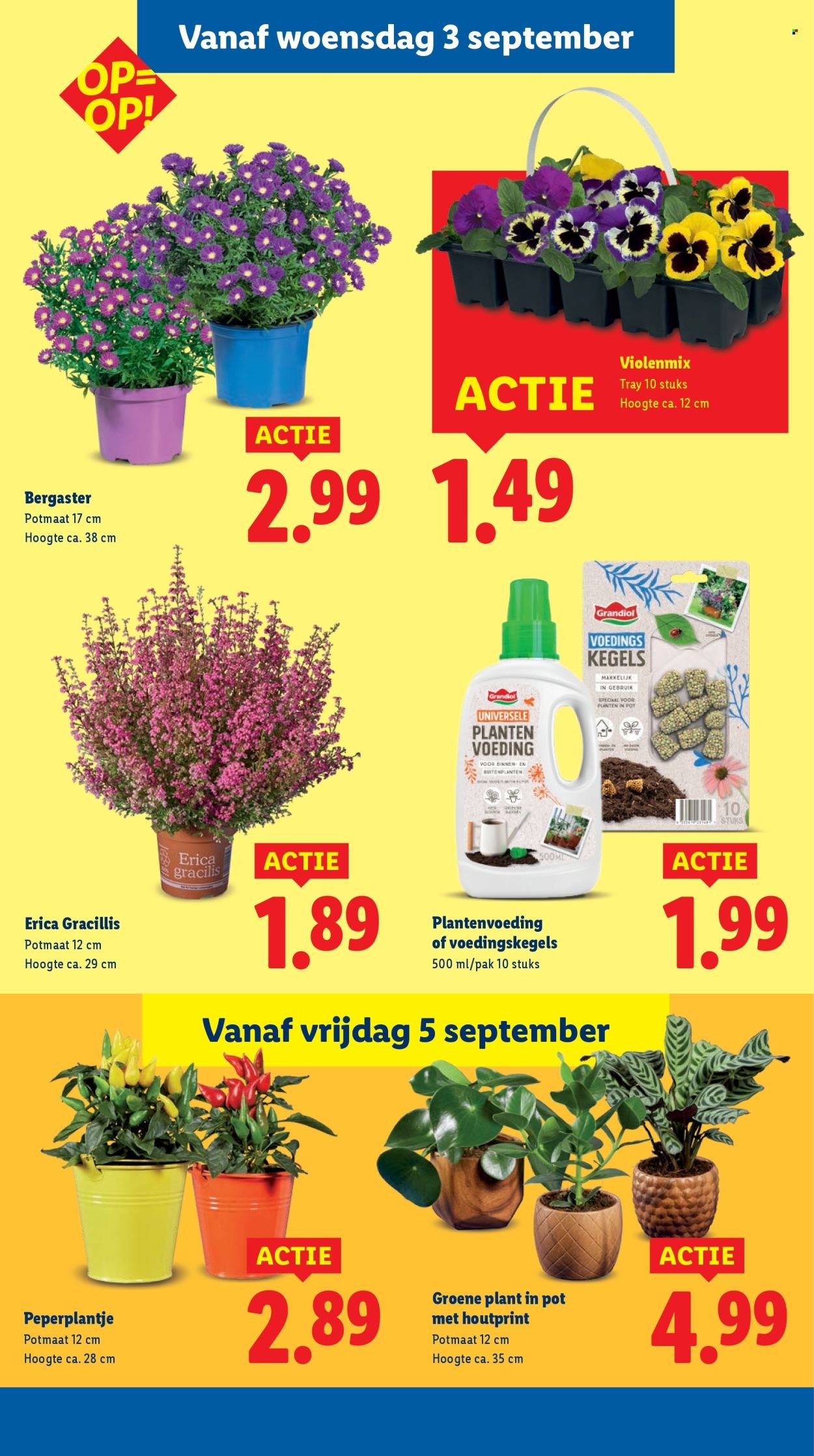 LIDL folder - Week 36 (2025-09-01 - 2025-09-07)