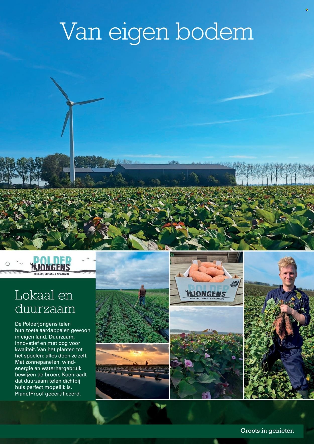 SLIGRO folder - Wijn