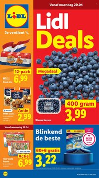 LIDL folder - Week 17