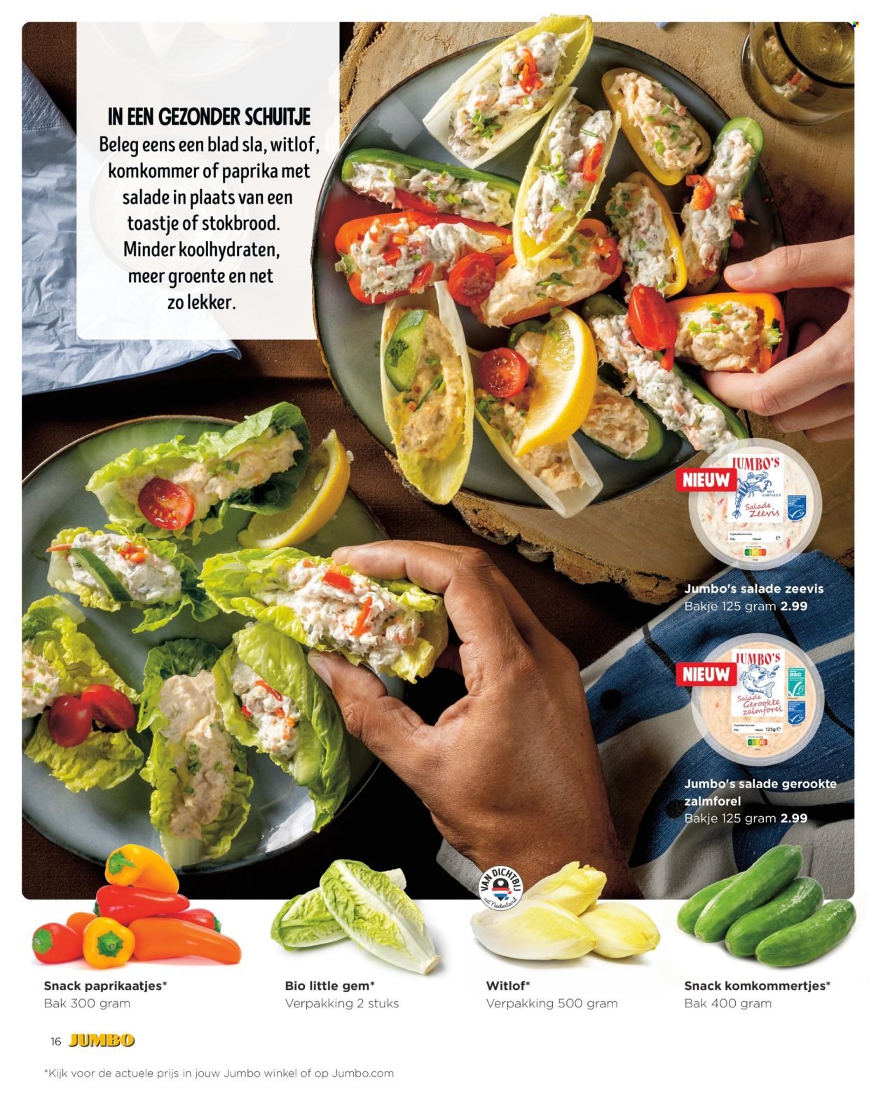 JUMBO folder - November 2025