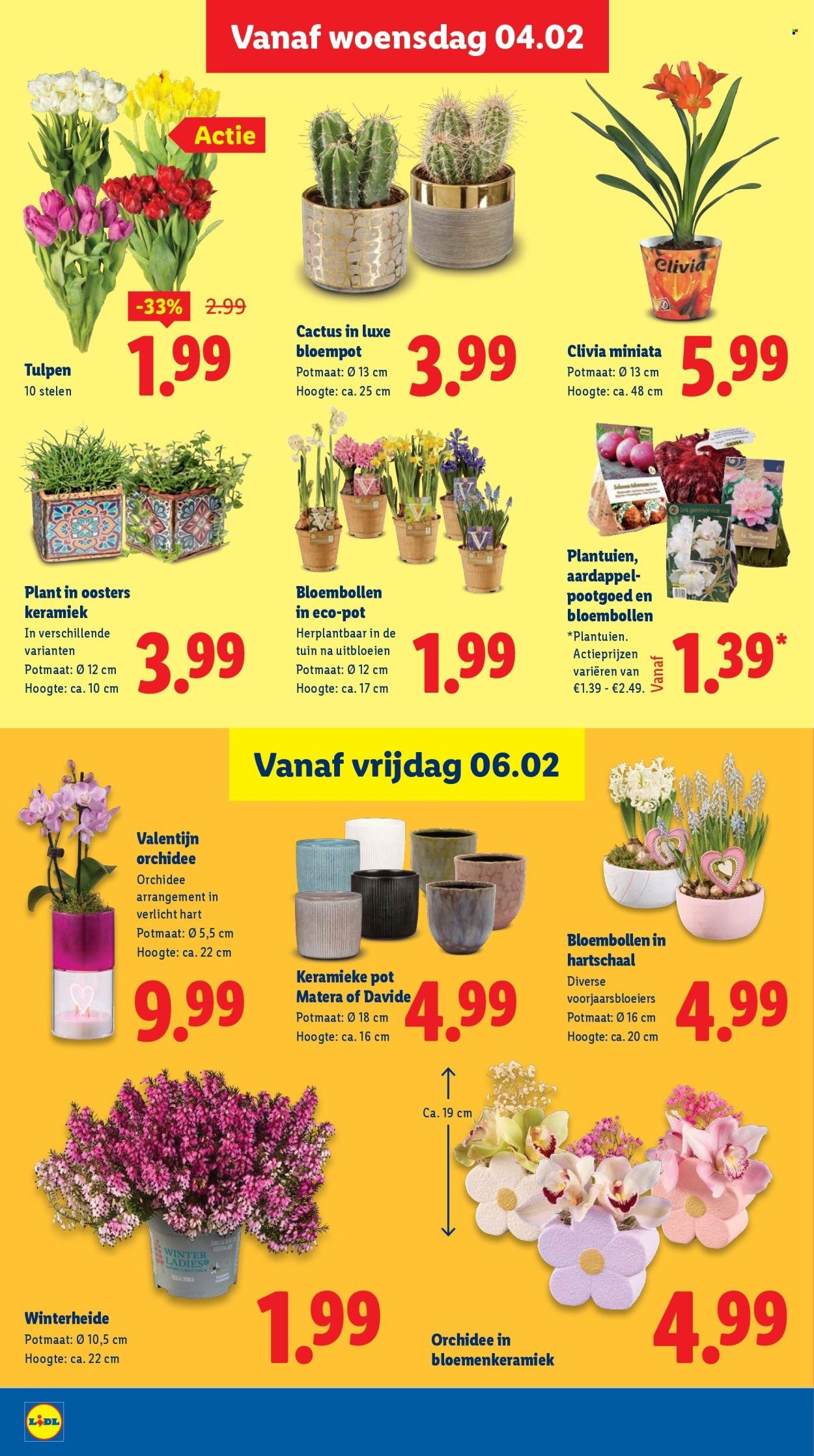 LIDL folder - Week 6