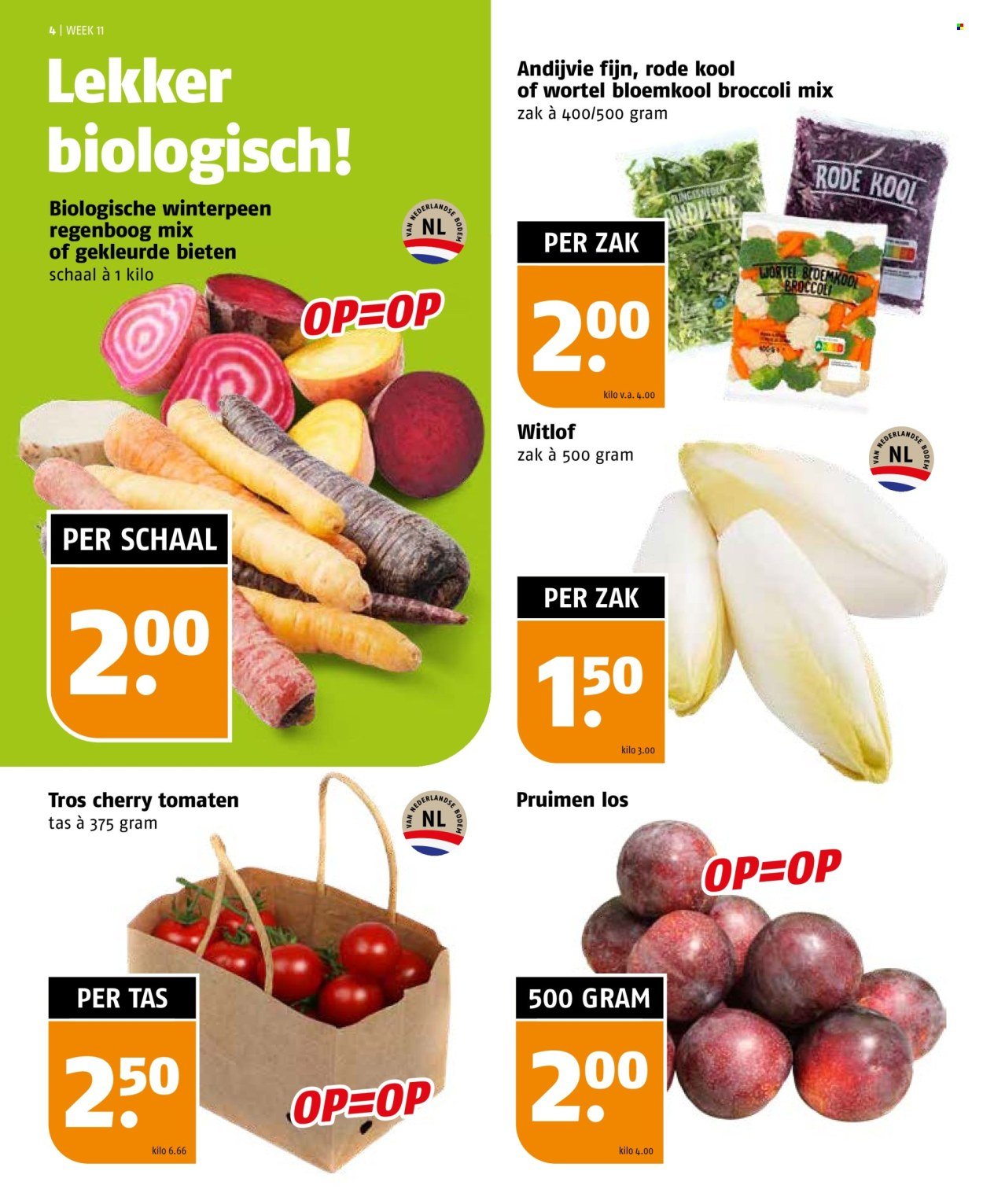 POIESZ folder - Week 11