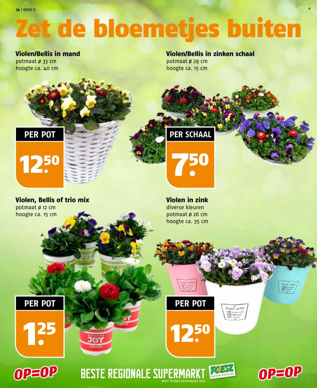 POIESZ folder - Week 11