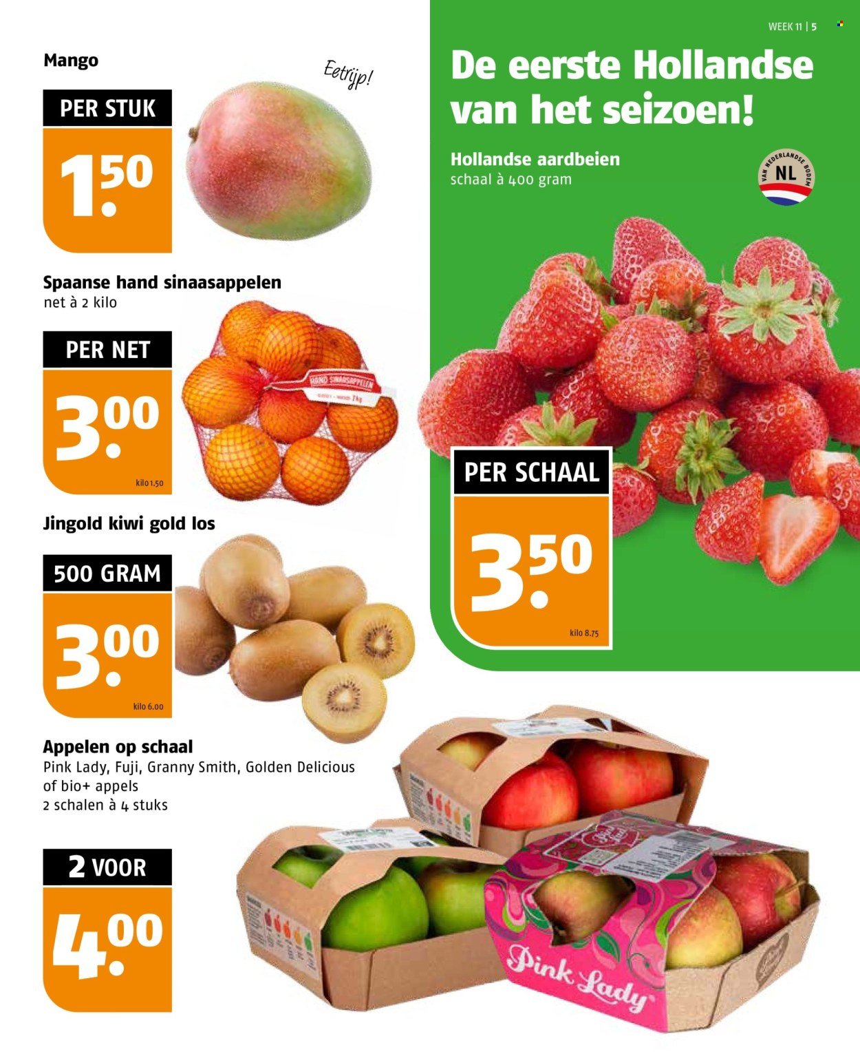 POIESZ folder - Week 11