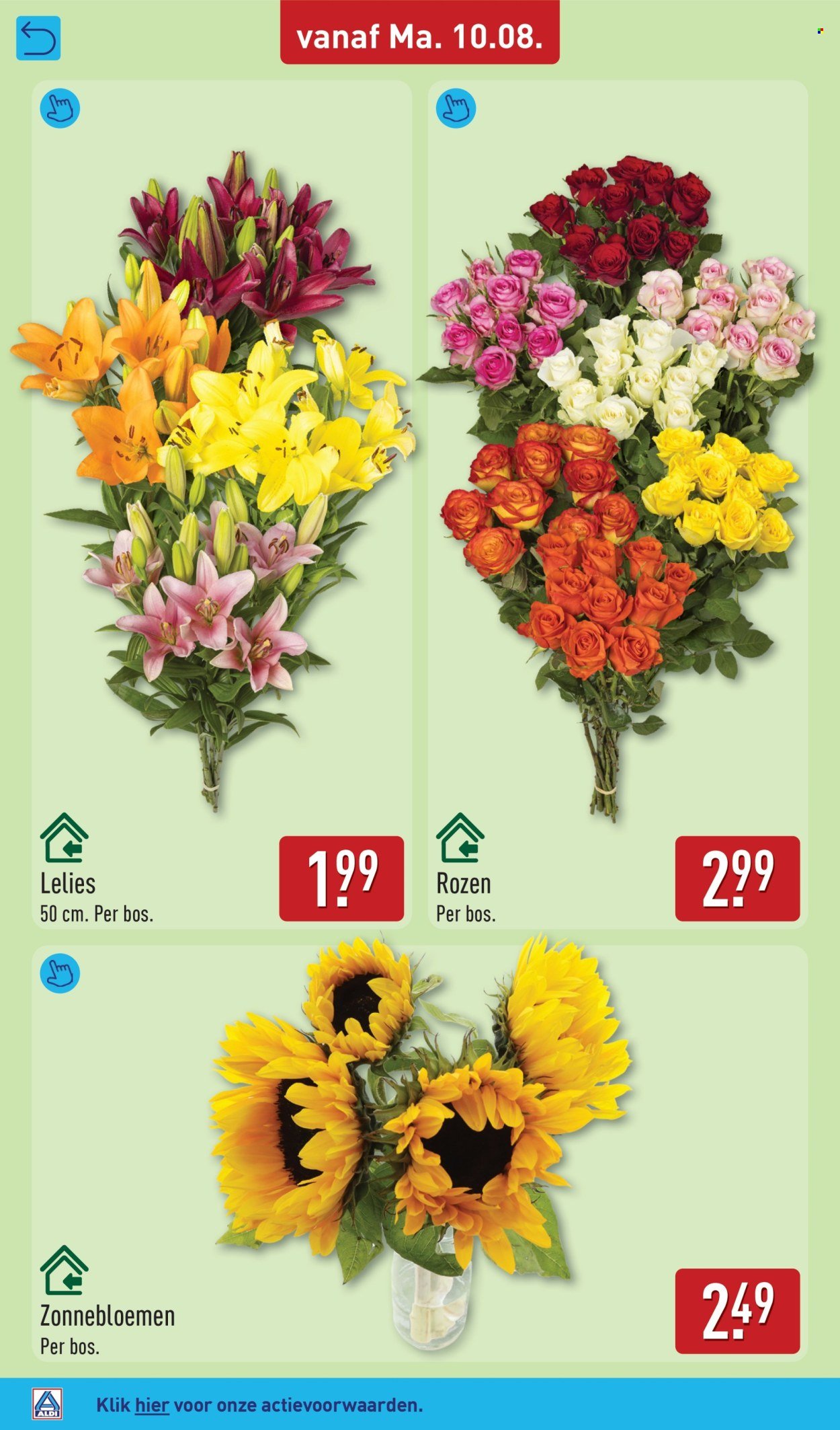 ALDI folder - Van maandag 10 augustus 2026
