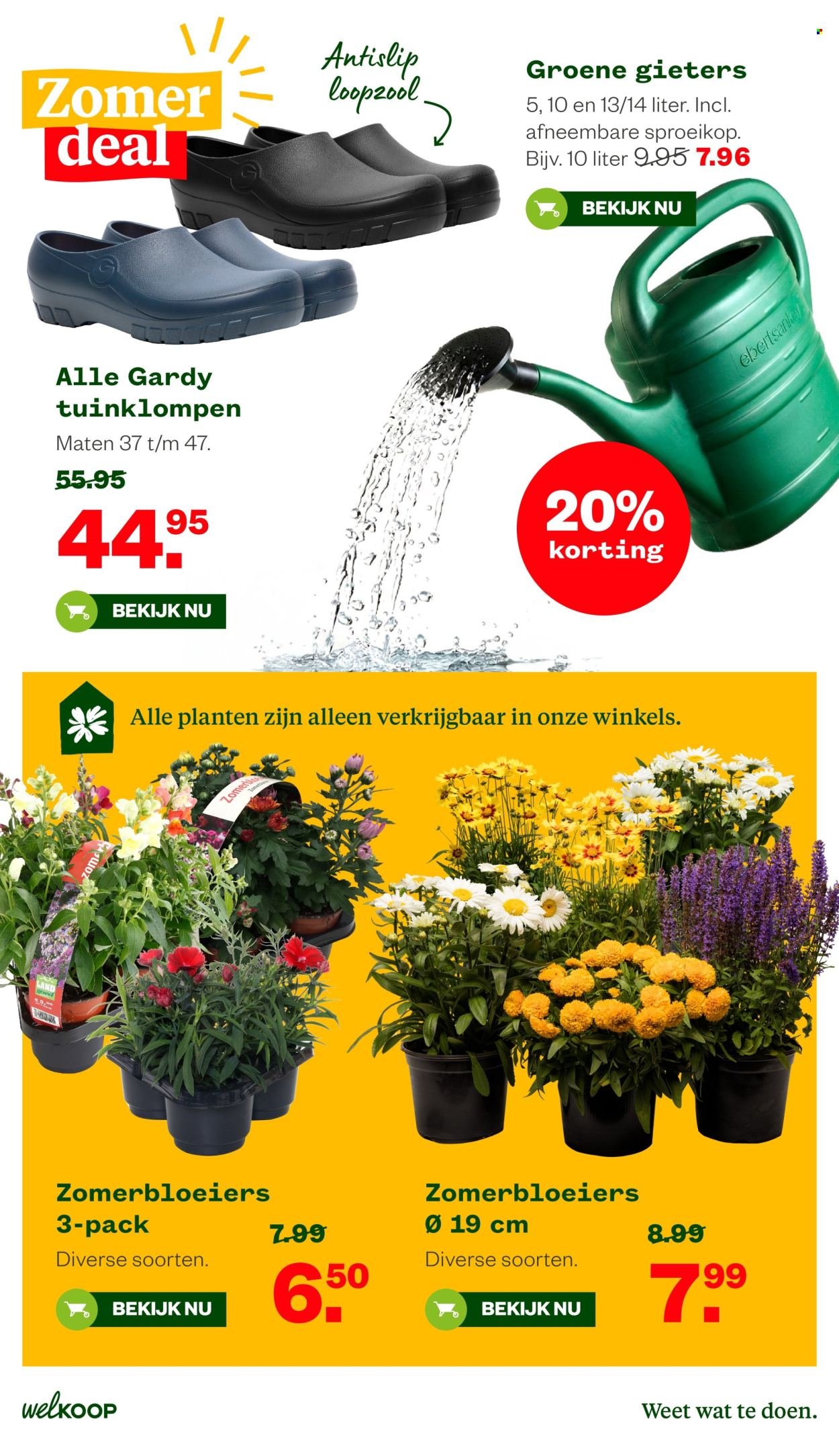 WELKOOP folder - Van maandag 6 juli 2026