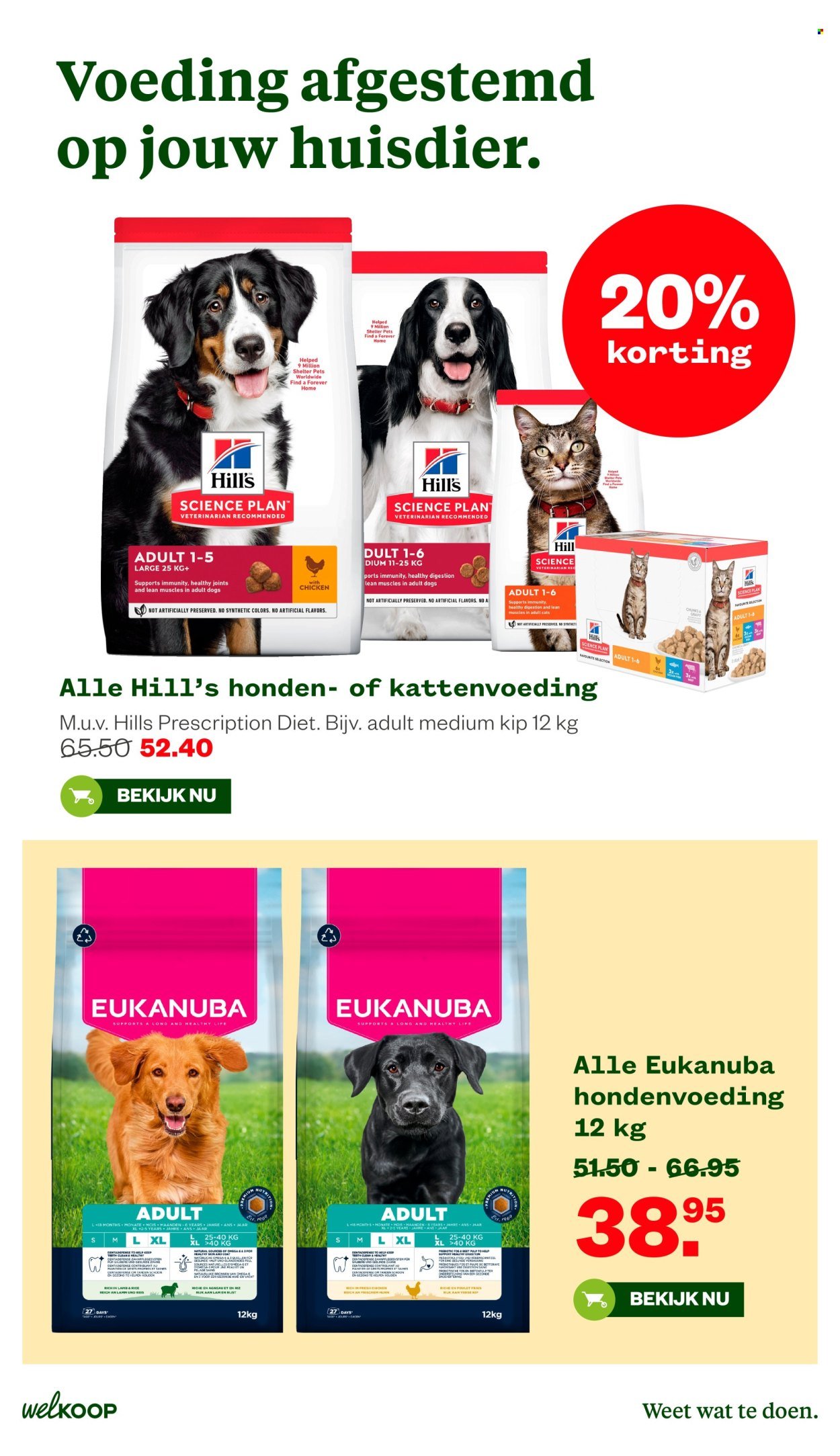 WELKOOP folder - Van maandag 6 juli 2026