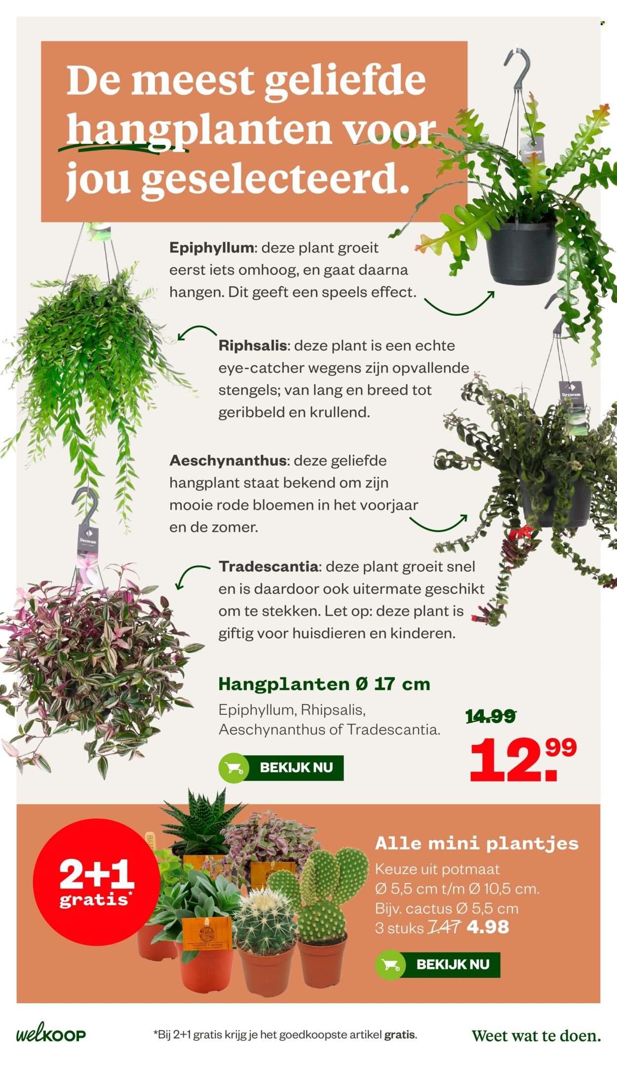WELKOOP folder - Van maandag 6 juli 2026