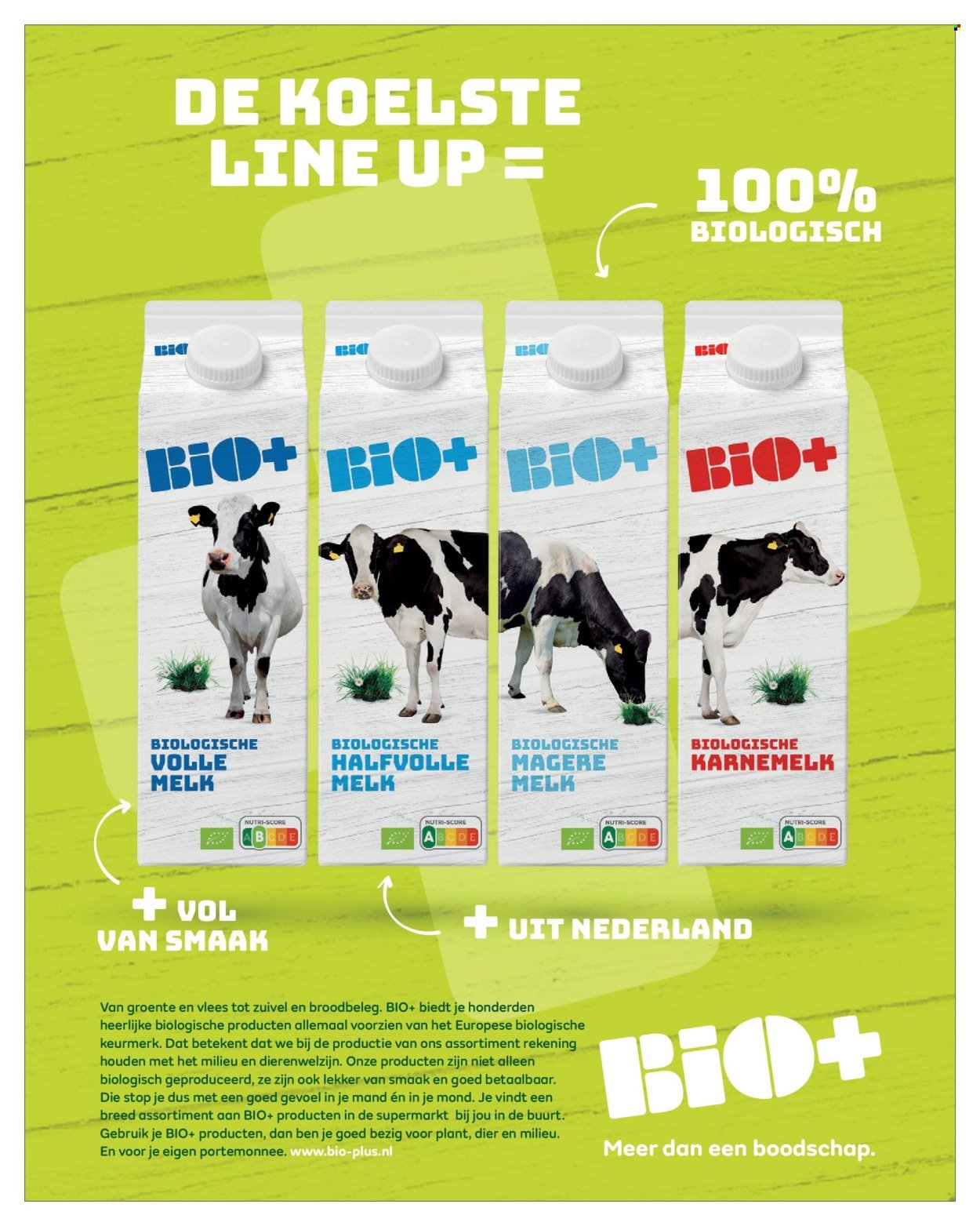 DEKAMARKT folder - Januari 2026