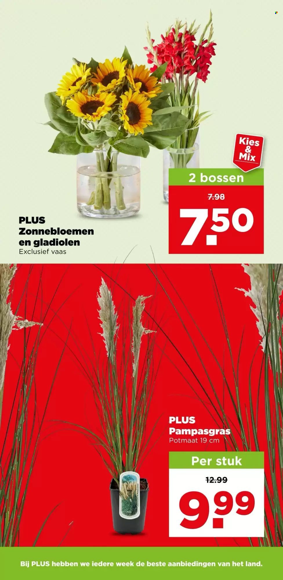PLUS folder - Van woensdag 9 september 2026