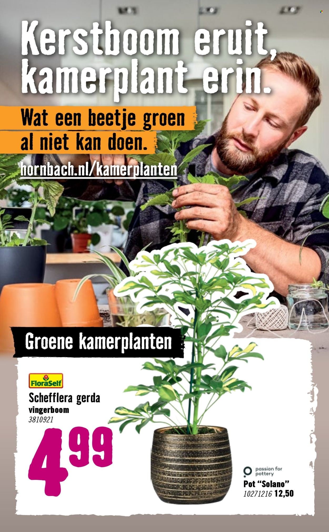 HORNBACH folder - Week 2