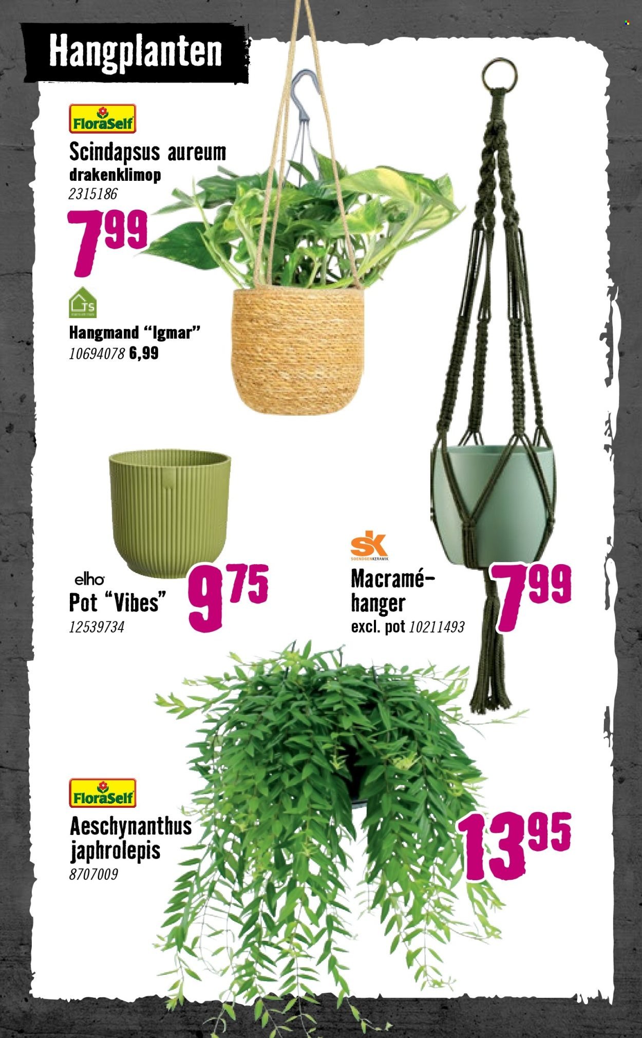 HORNBACH folder - Week 2