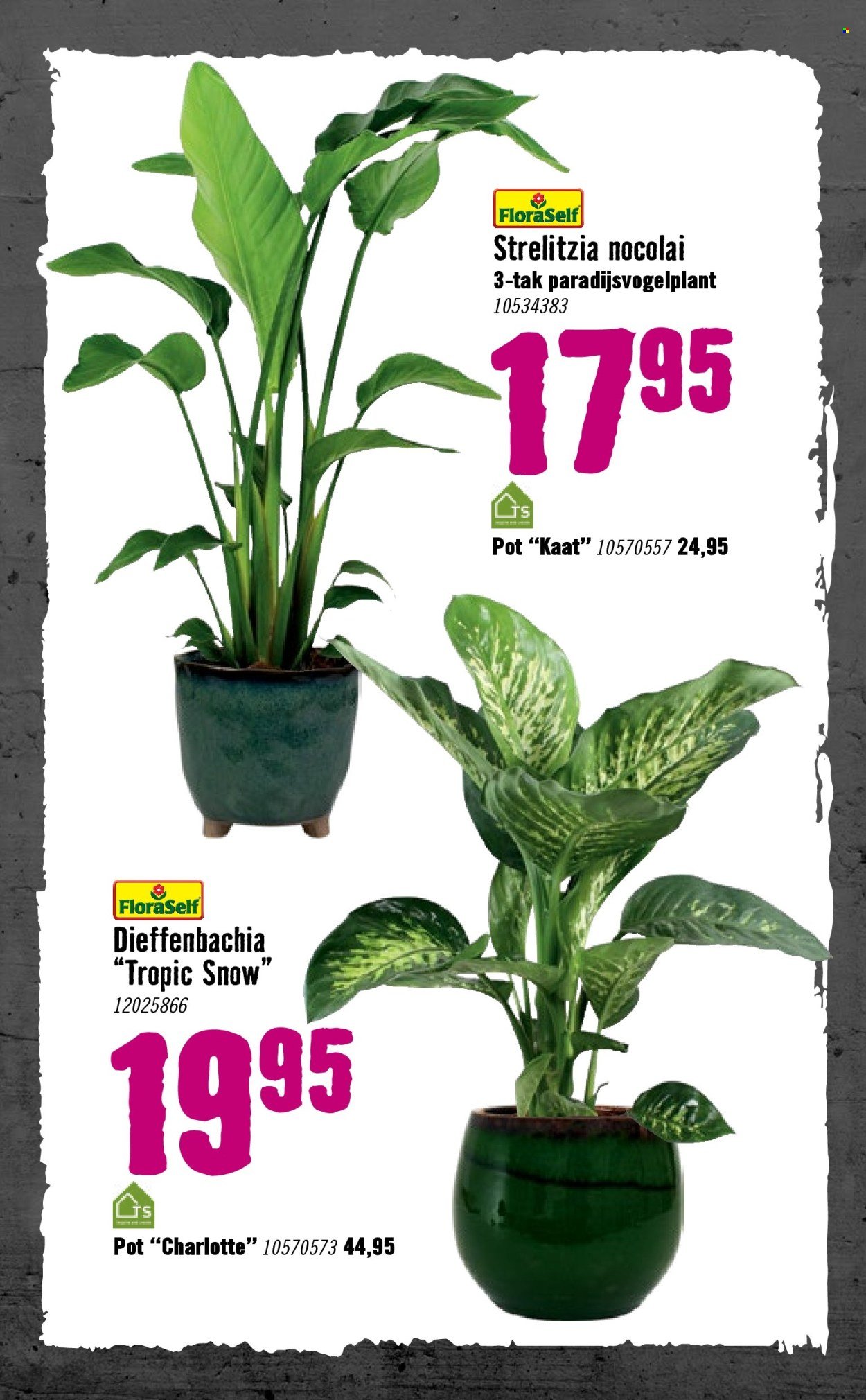 HORNBACH folder - Week 2