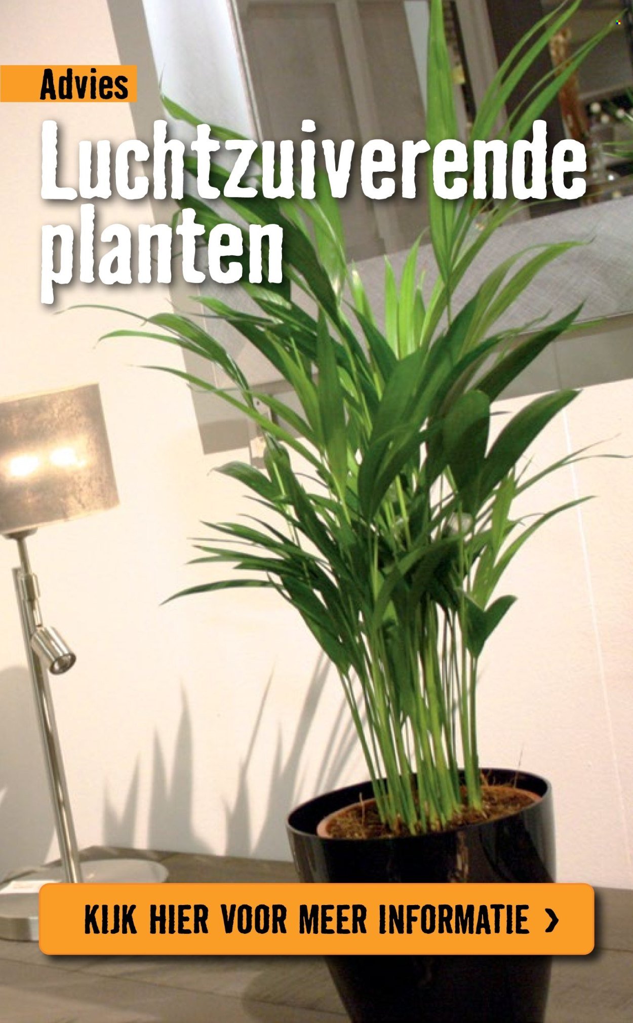 HORNBACH folder - Week 2