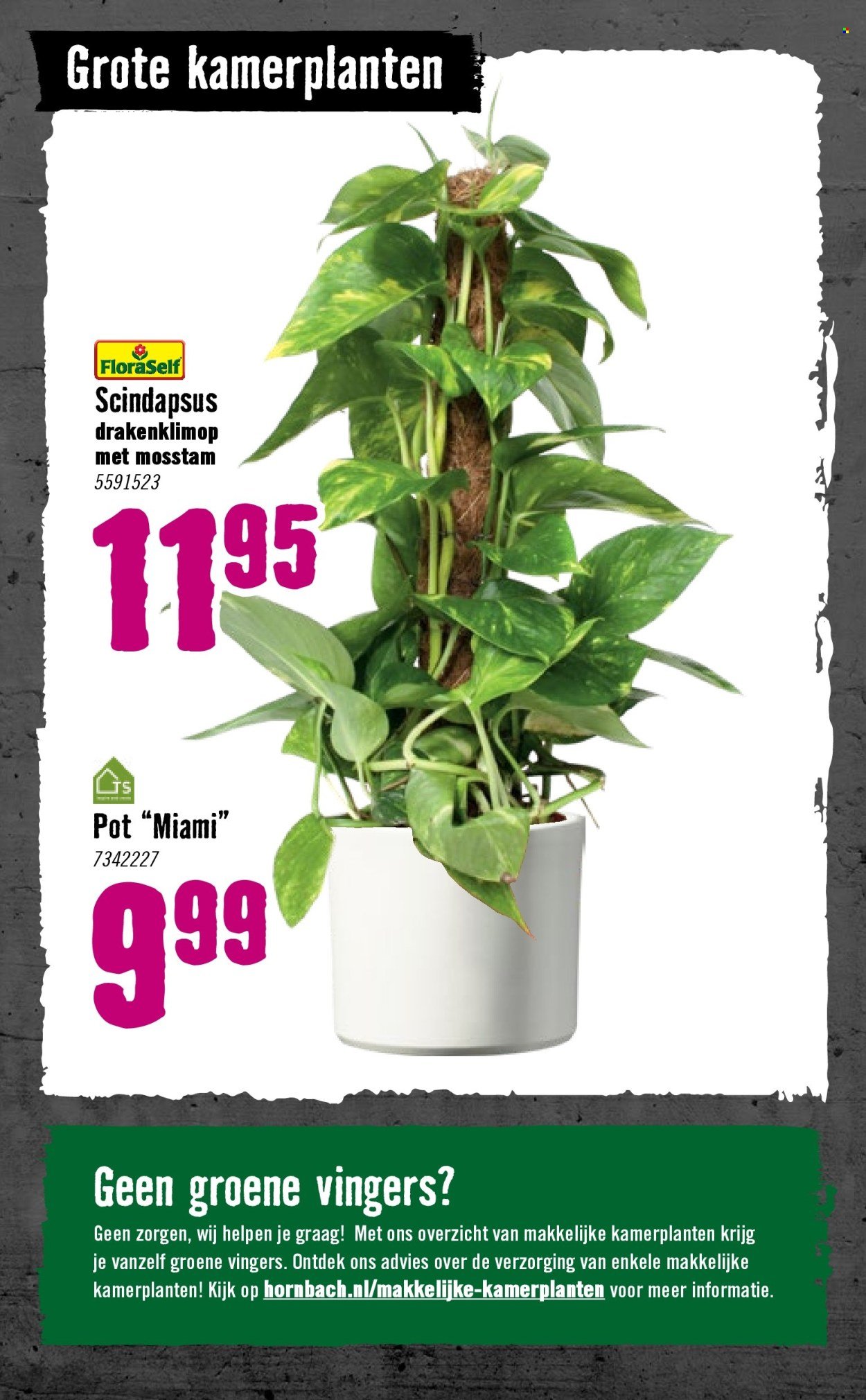 HORNBACH folder - Week 2