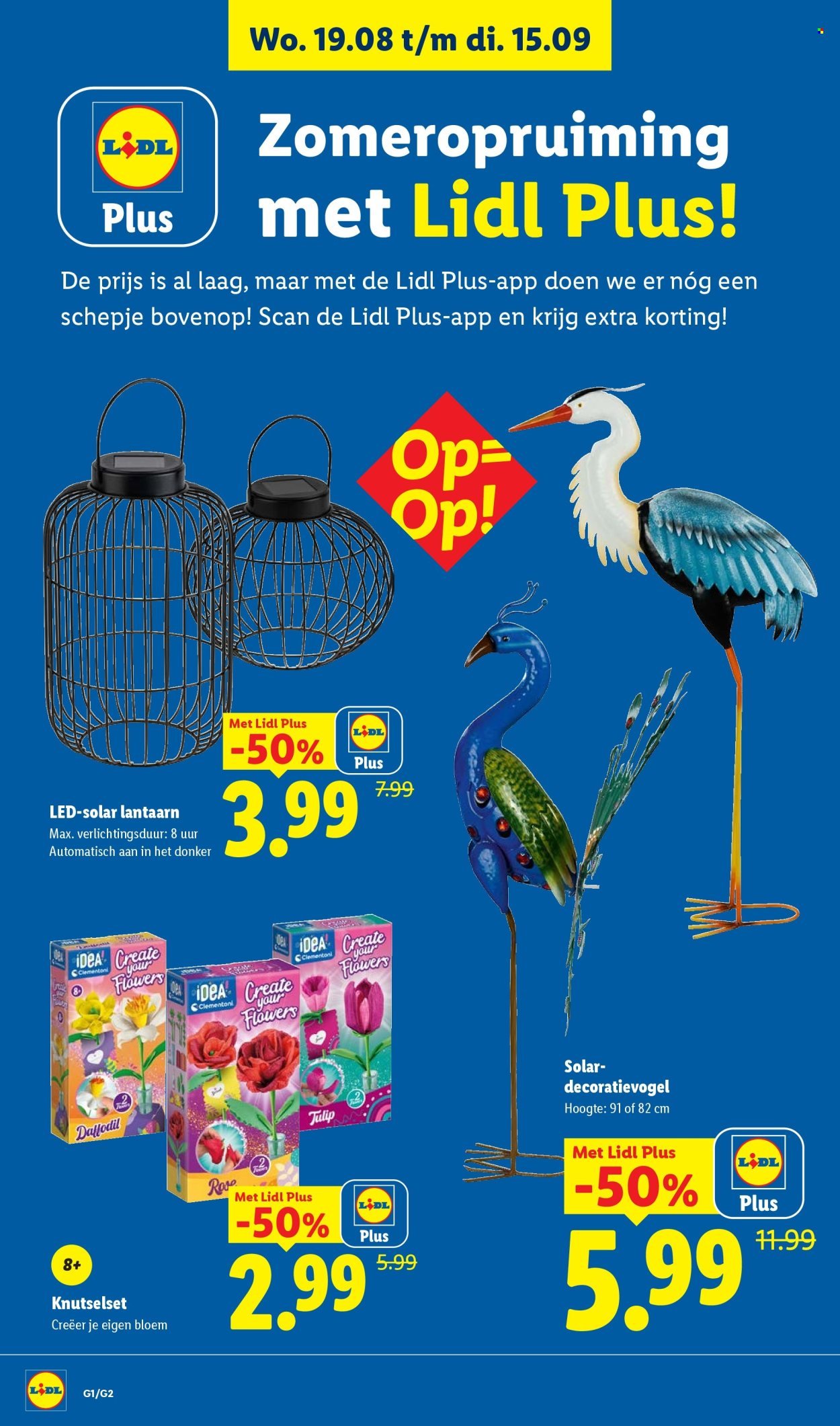 LIDL folder - Non Food - Week 34