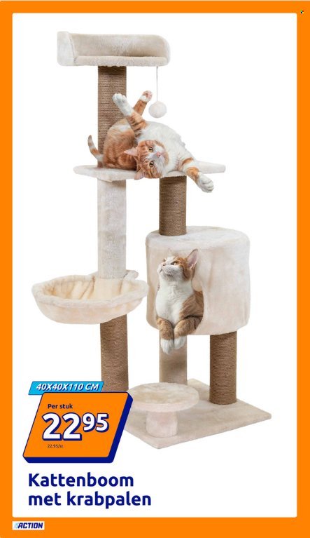 ACTION folder - Van woensdag 12 november 2025