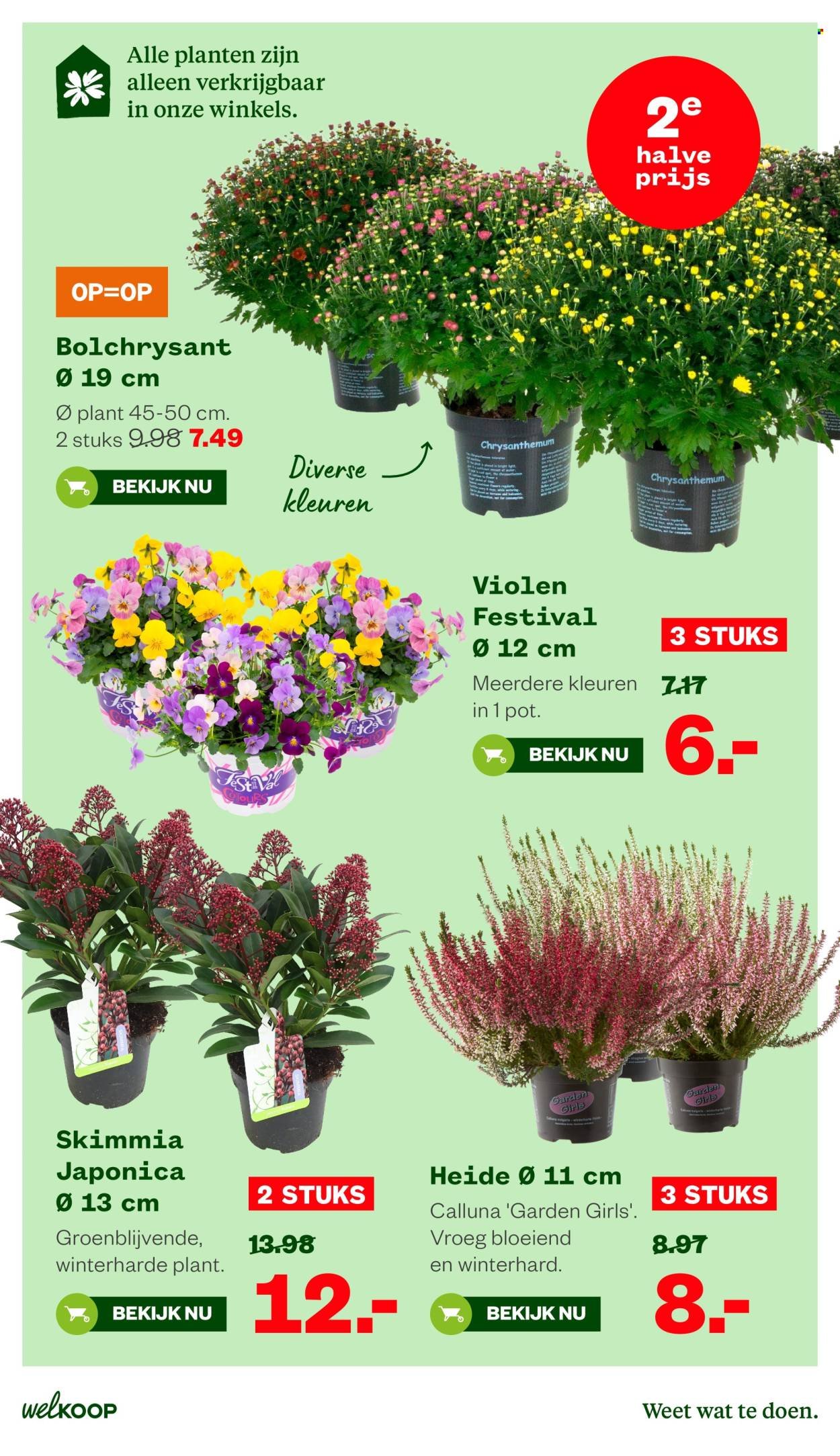 WELKOOP folder - Van maandag 5 oktober 2026