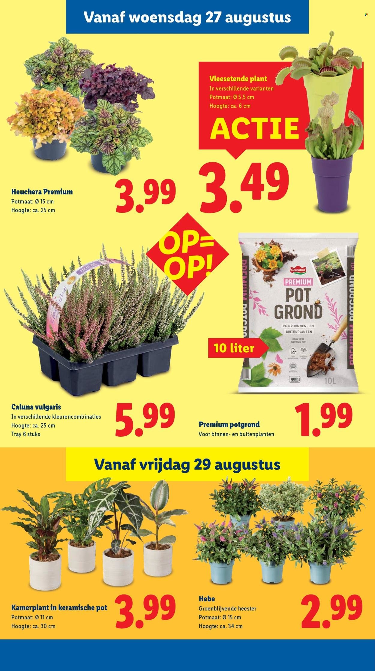 LIDL folder - Week 35 (2025-08-25 - 2025-08-31)