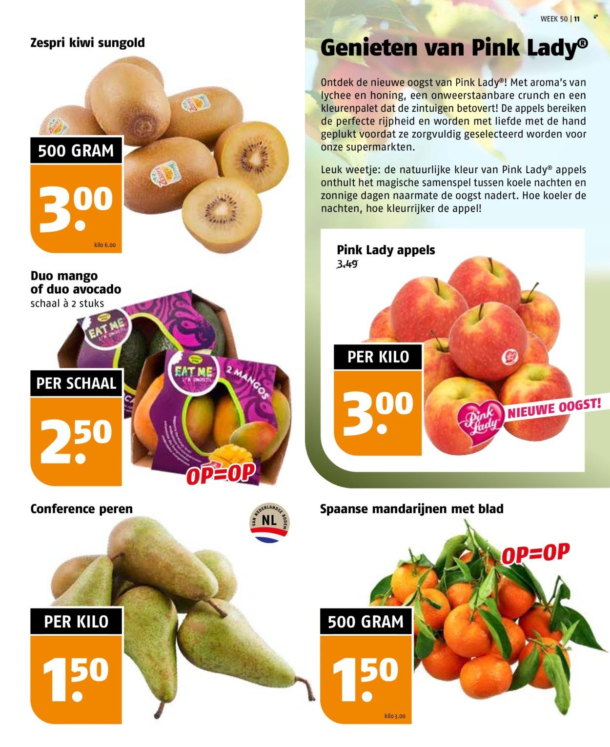 POIESZ folder - Week 50