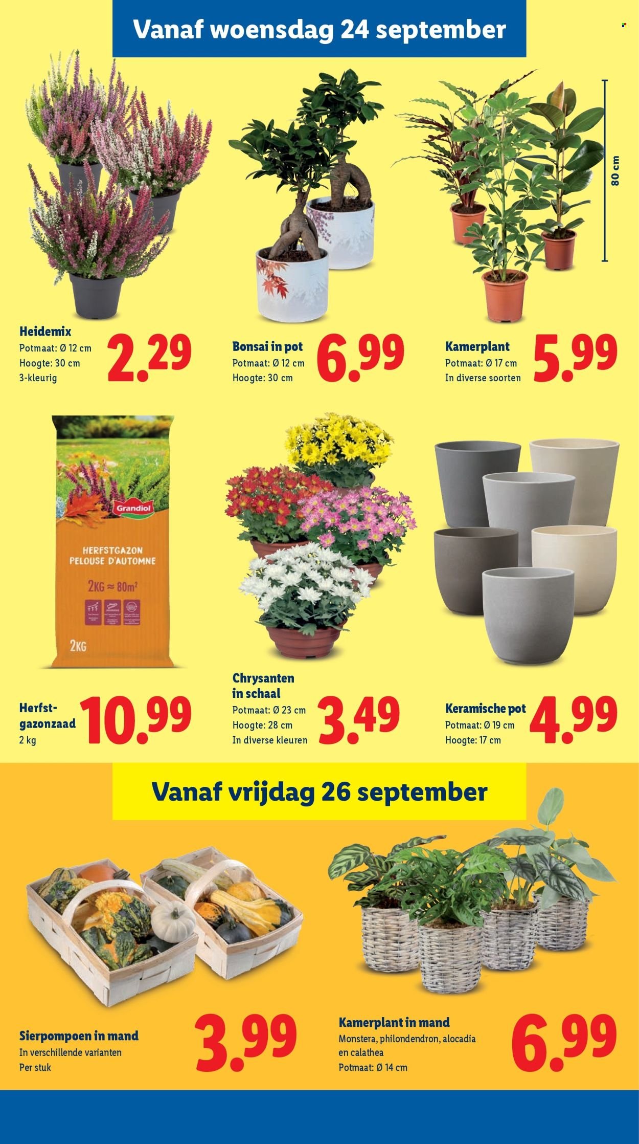 LIDL folder - Week 39 (2025-09-22 - 2025-09-28)