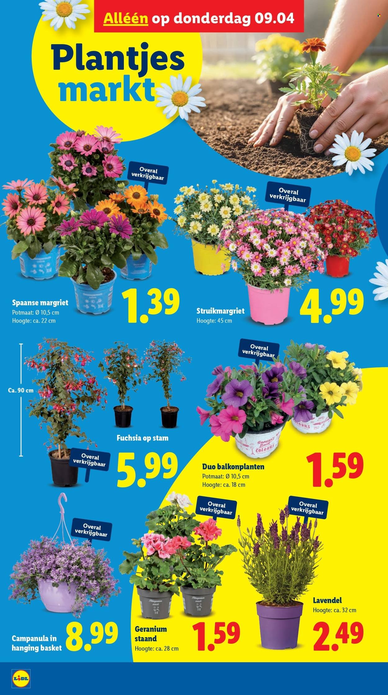 LIDL folder - Week 15 (2026-04-07 - 2026-04-12)