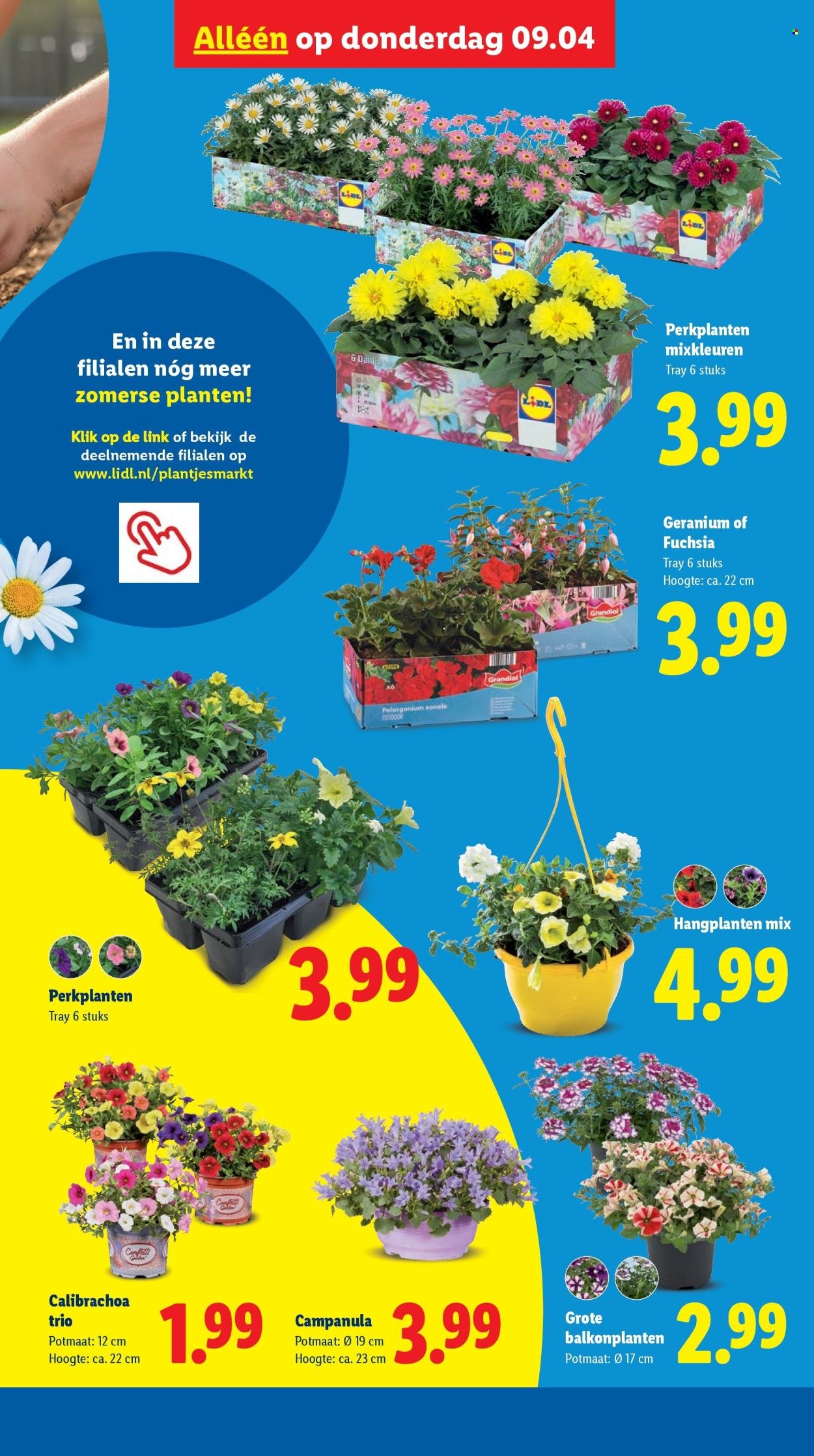 LIDL folder - Week 15 (2026-04-07 - 2026-04-12)