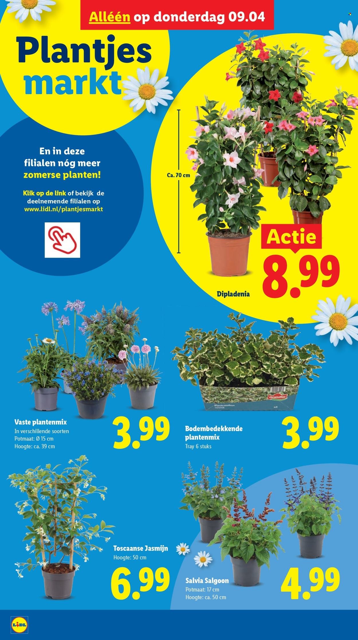 LIDL folder - Week 15 (2026-04-07 - 2026-04-12)