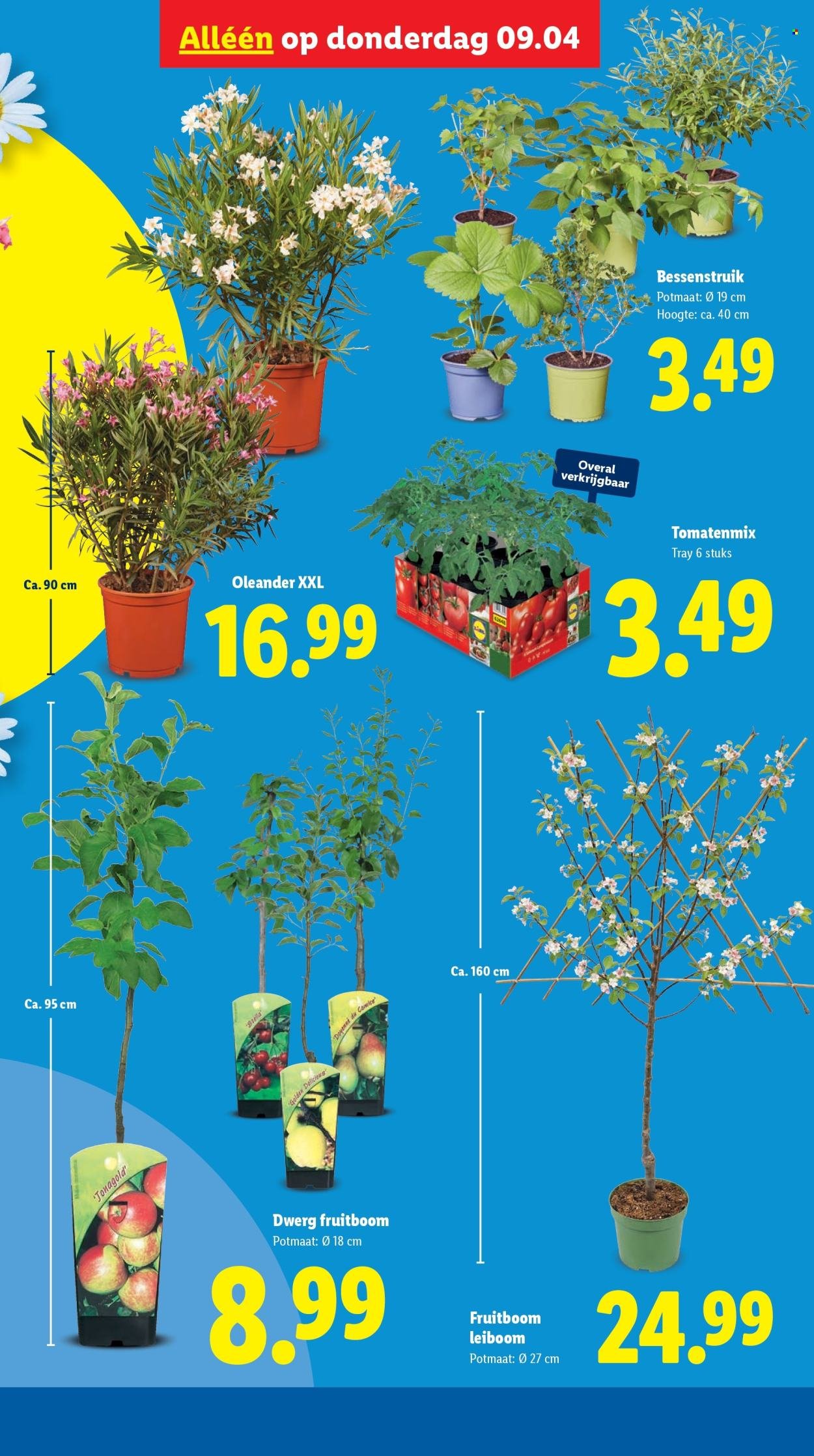 LIDL folder - Week 15 (2026-04-07 - 2026-04-12)