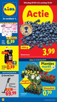 LIDL folder - Week 15