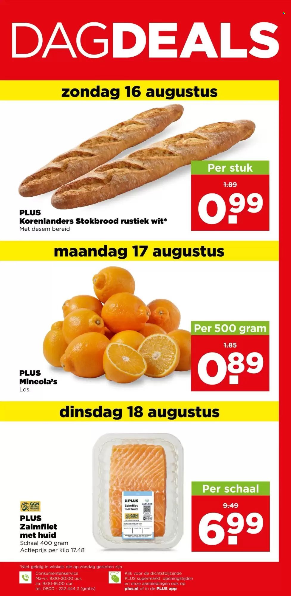 PLUS folder - Van woensdag 12 augustus 2026