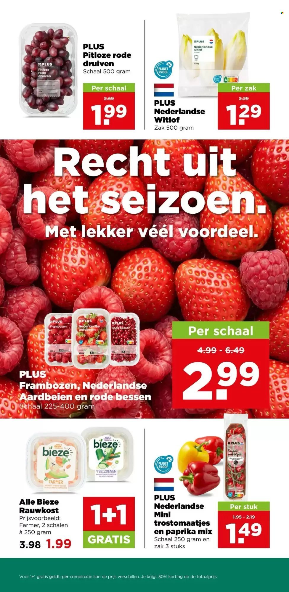 PLUS folder - Van woensdag 12 augustus 2026