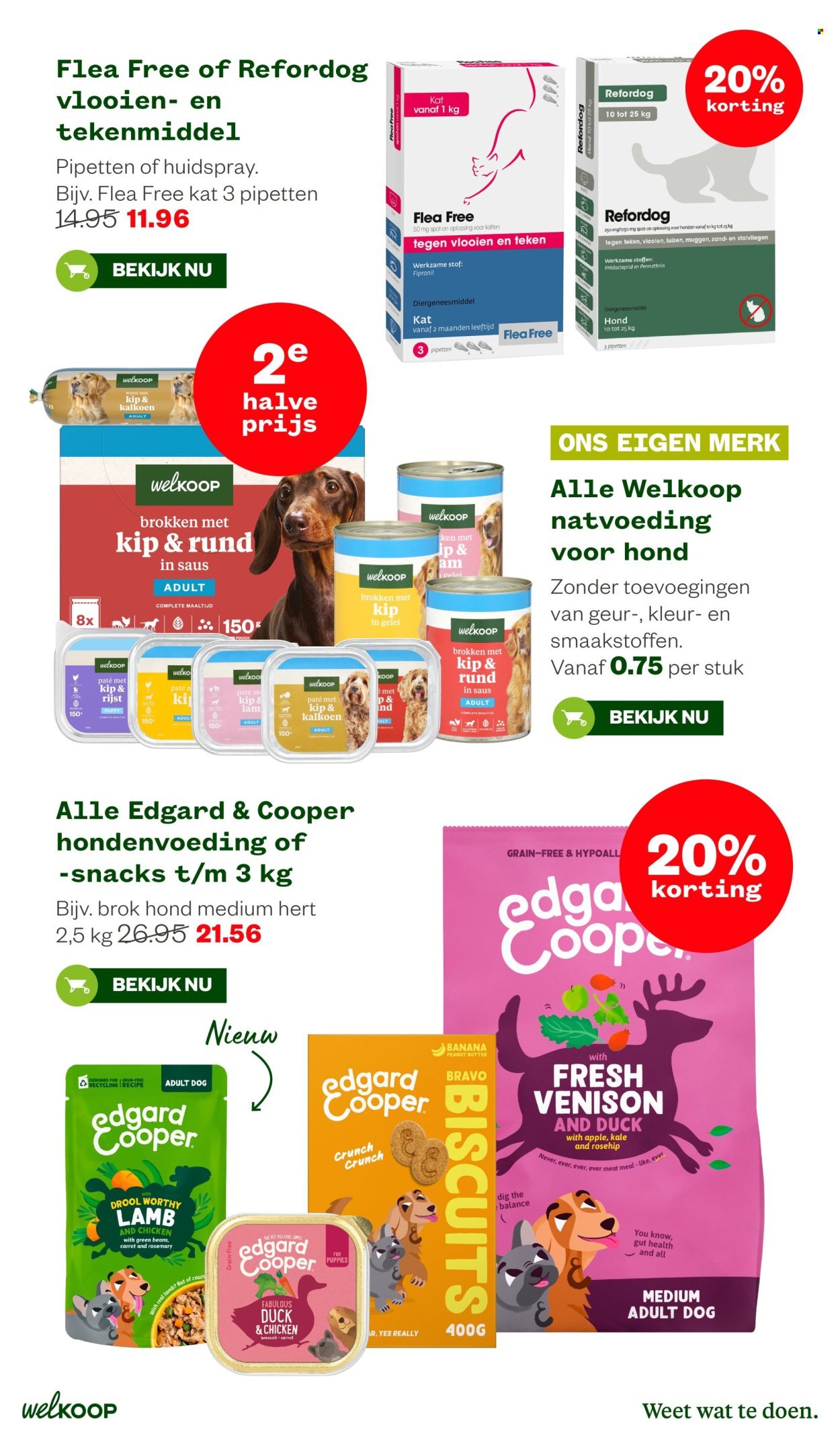 WELKOOP folder - Van maandag 19 oktober 2026