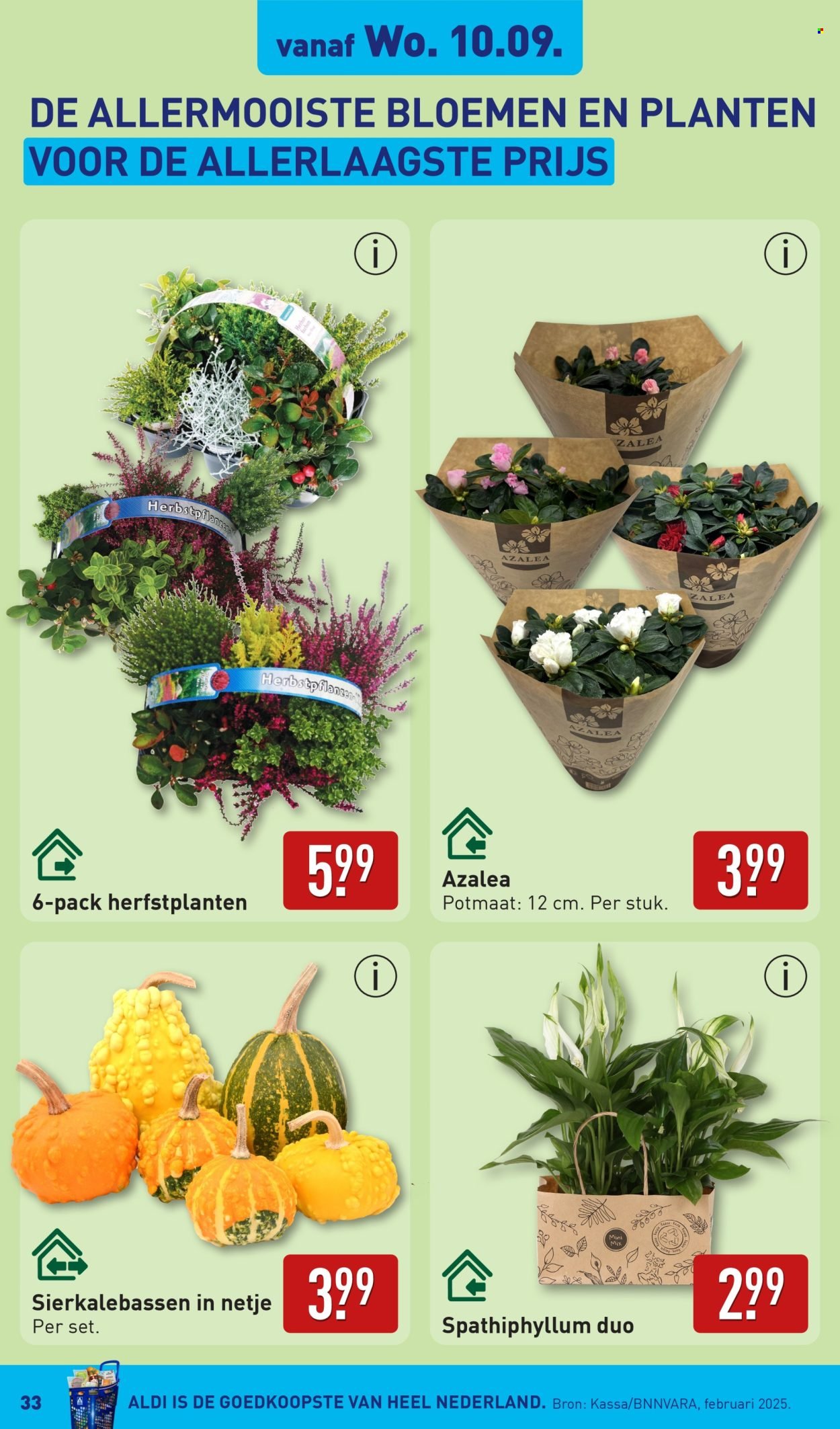 ALDI folder - Van maandag 8 september 2025 (2025-09-08 - 2025-09-14)