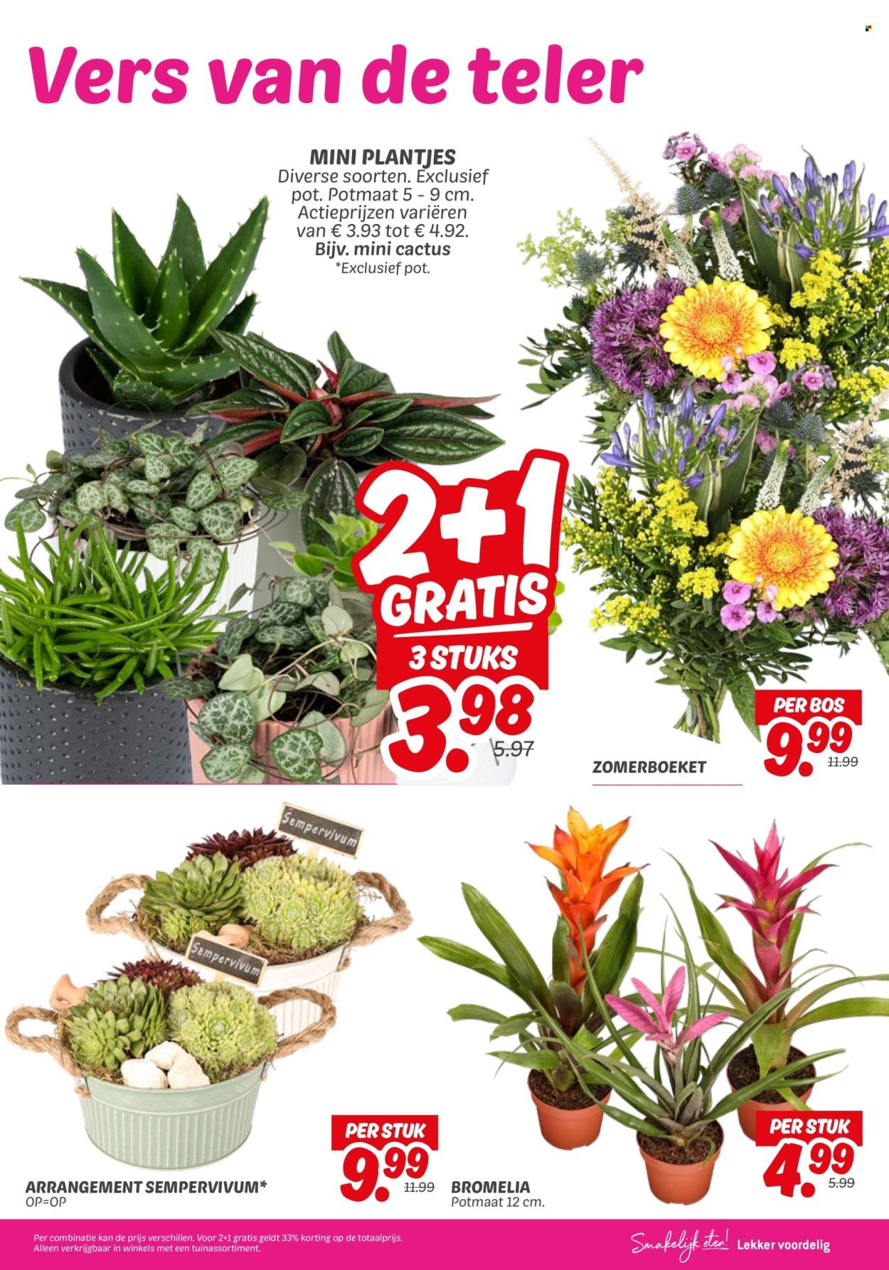 DEKAMARKT folder - Van dinsdag 22 juli 2025 (2025-07-22 - 2025-07-28)