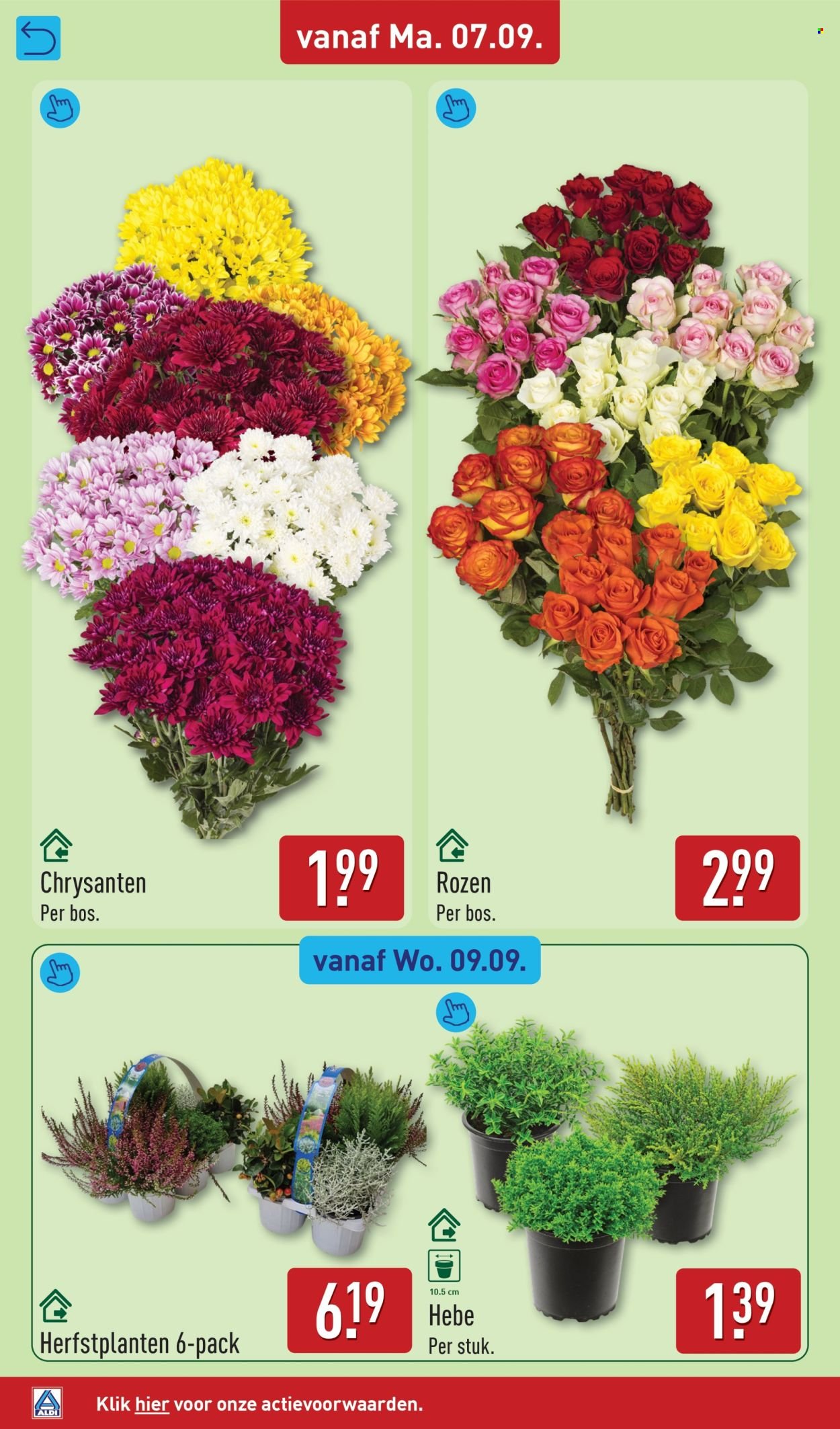 ALDI folder - Van maandag 7 september 2026