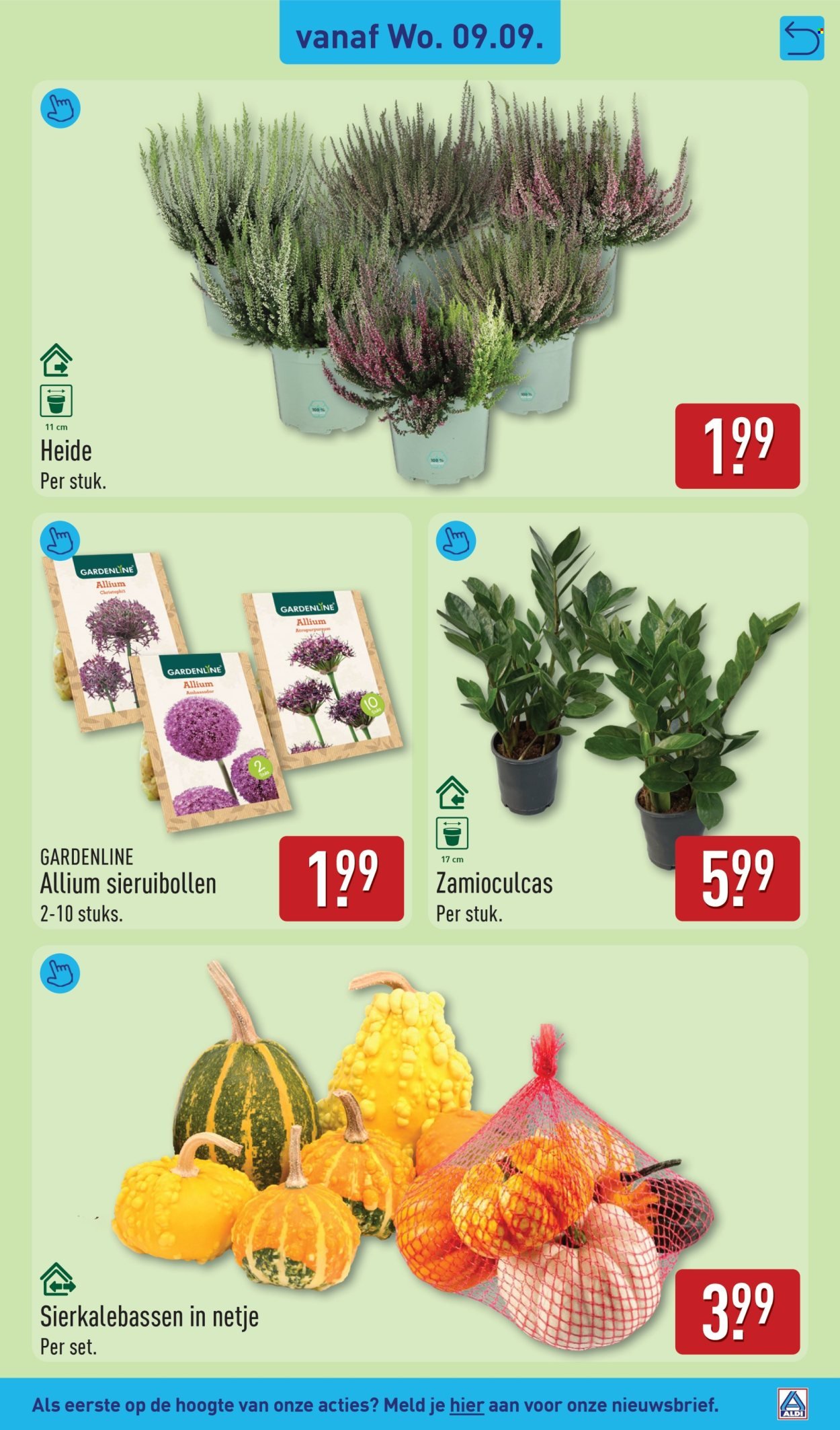 ALDI folder - Van maandag 7 september 2026