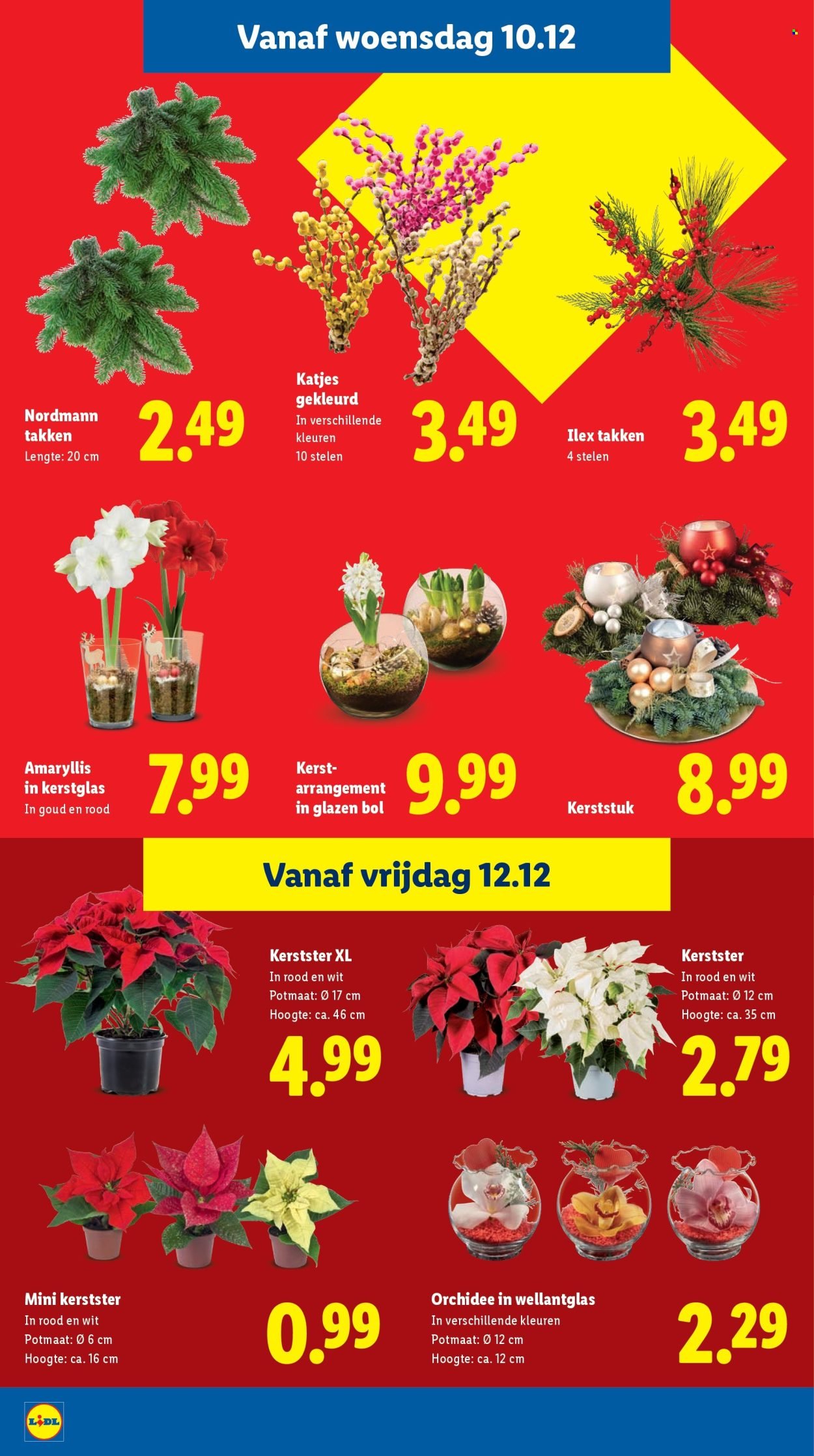 LIDL folder - Week 50