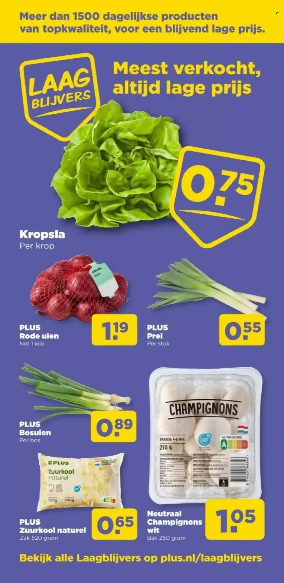 PLUS folder - Van woensdag 11 februari 2026