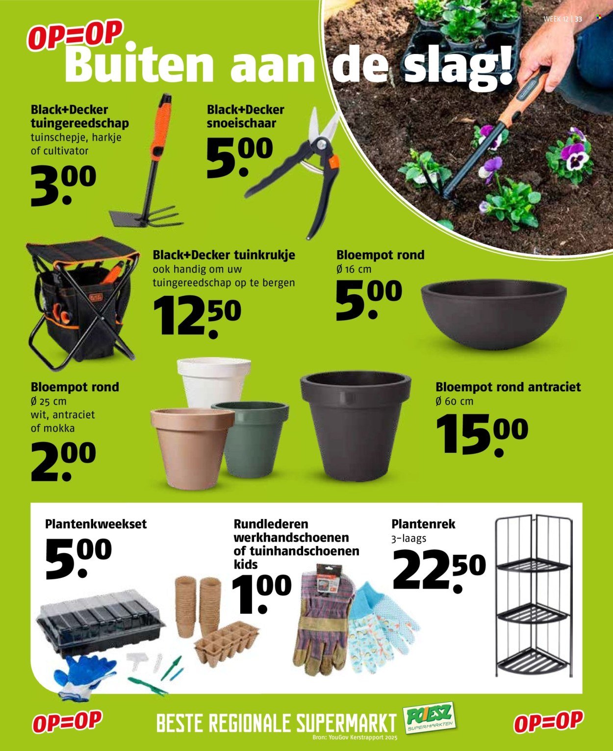 POIESZ folder - Week 12