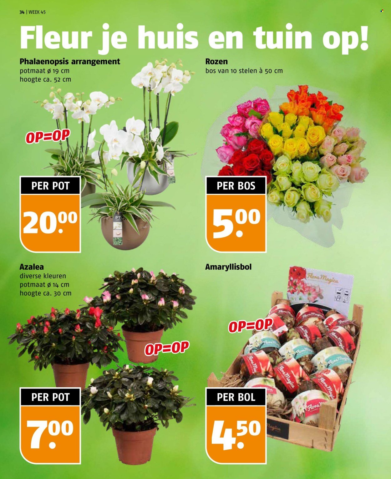 POIESZ folder - Van zondag 2 november 2025 (2025-11-02 - 2025-11-08)