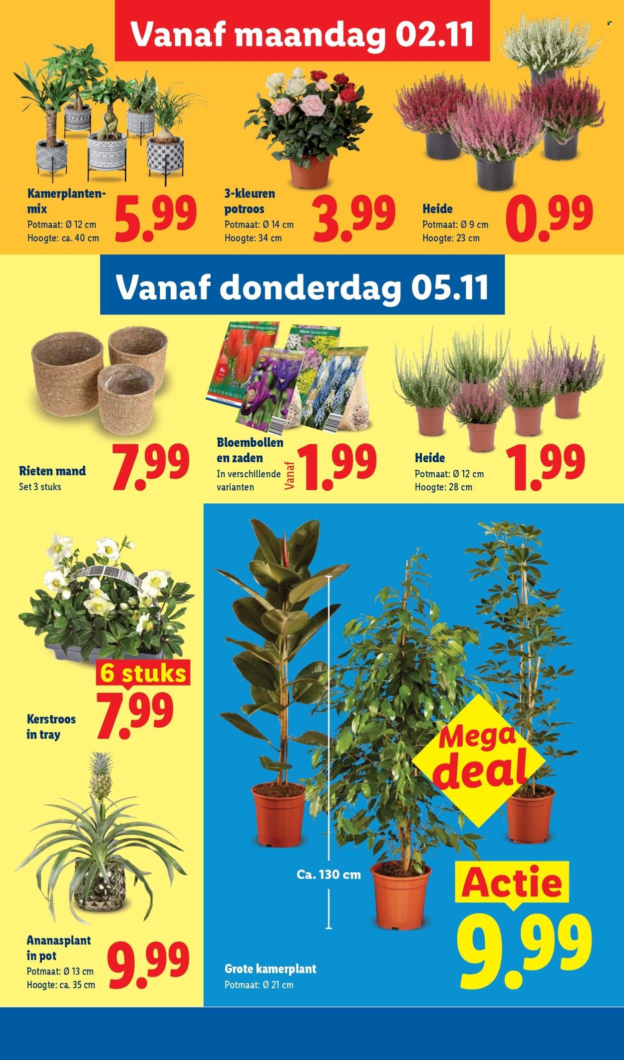 LIDL folder - Week 45